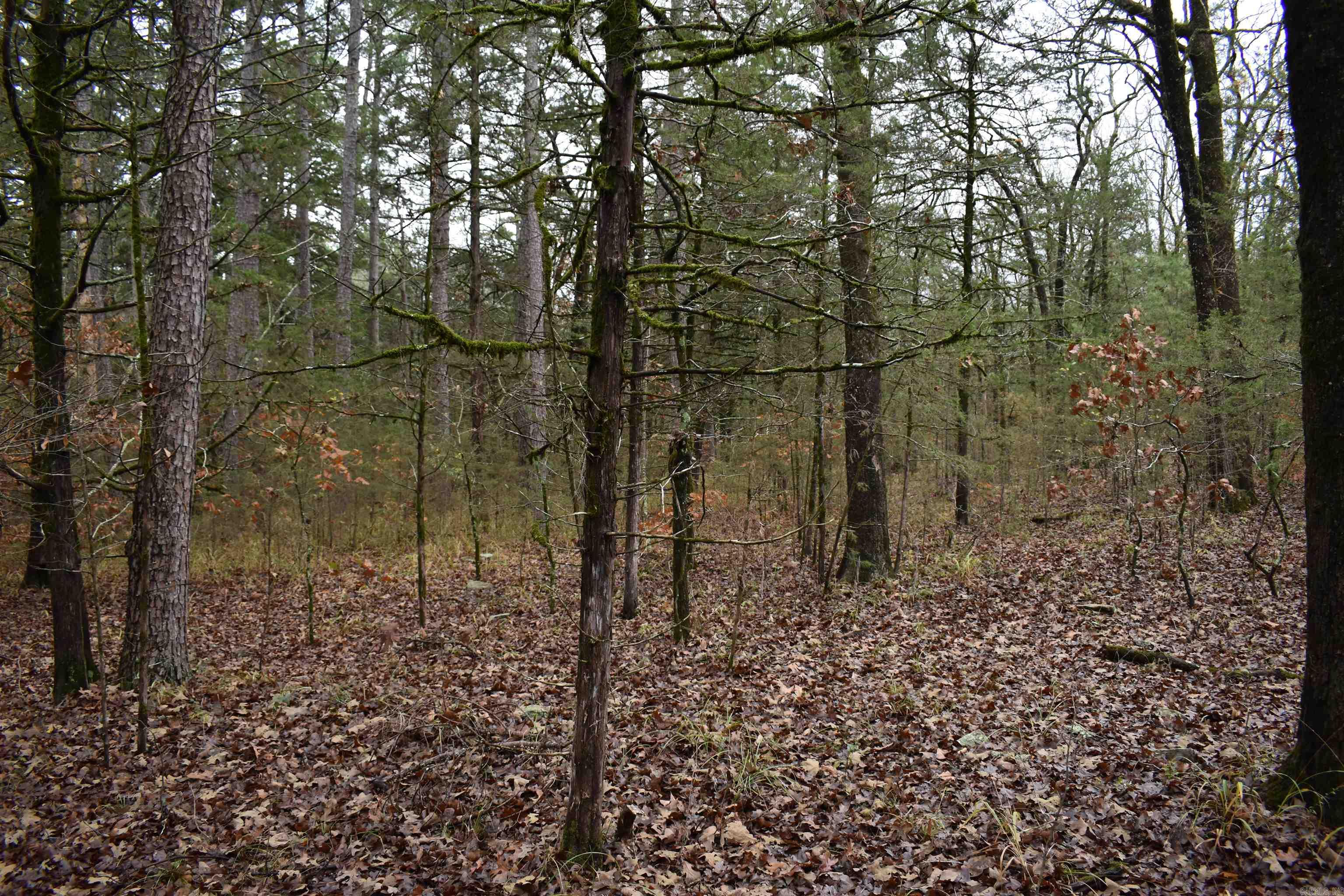 0000 County Line Road  Booneville, AR