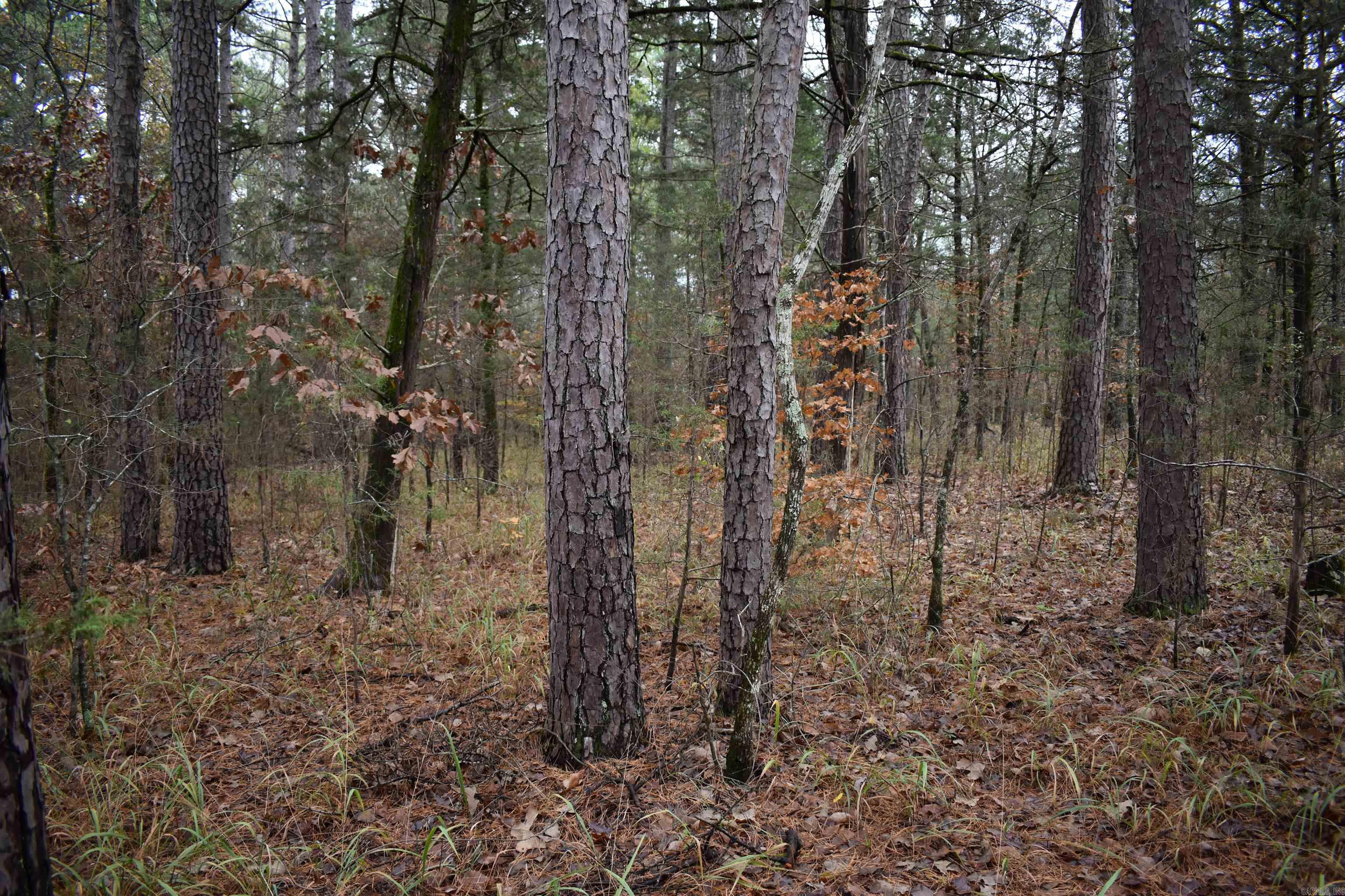 0000 County Line Road  Booneville, AR