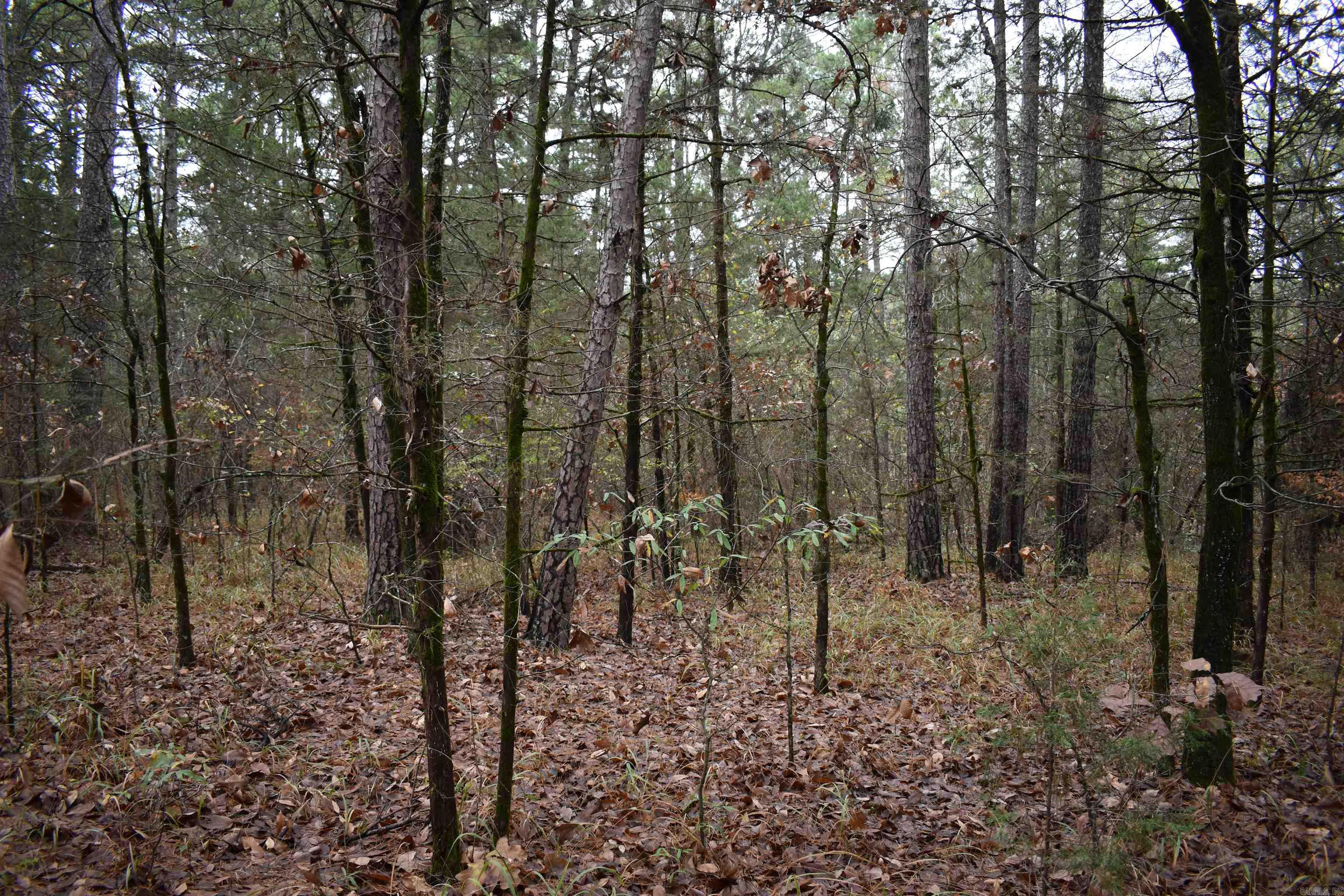 0000 County Line Road  Booneville, AR