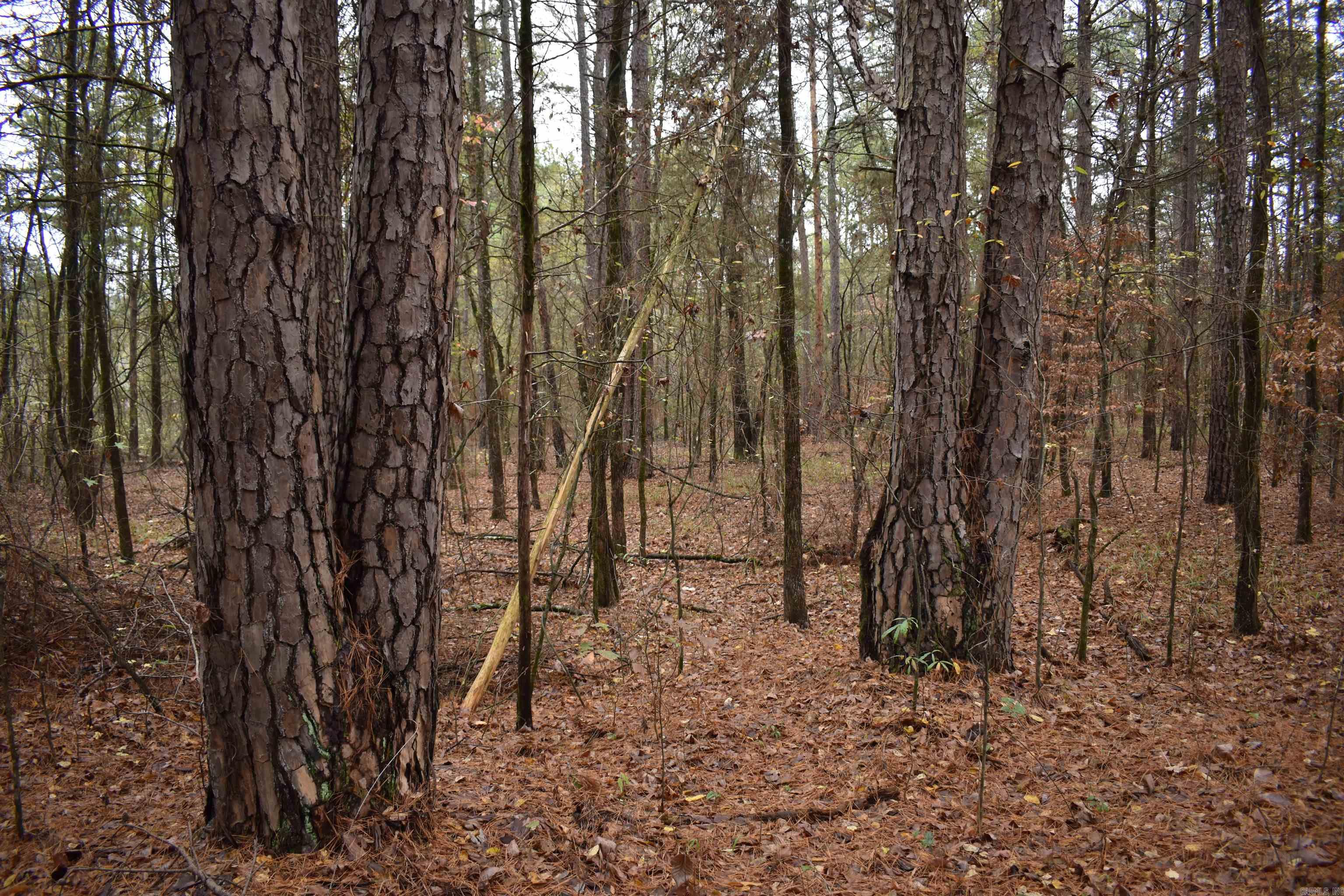 0000 County Line Road  Booneville, AR