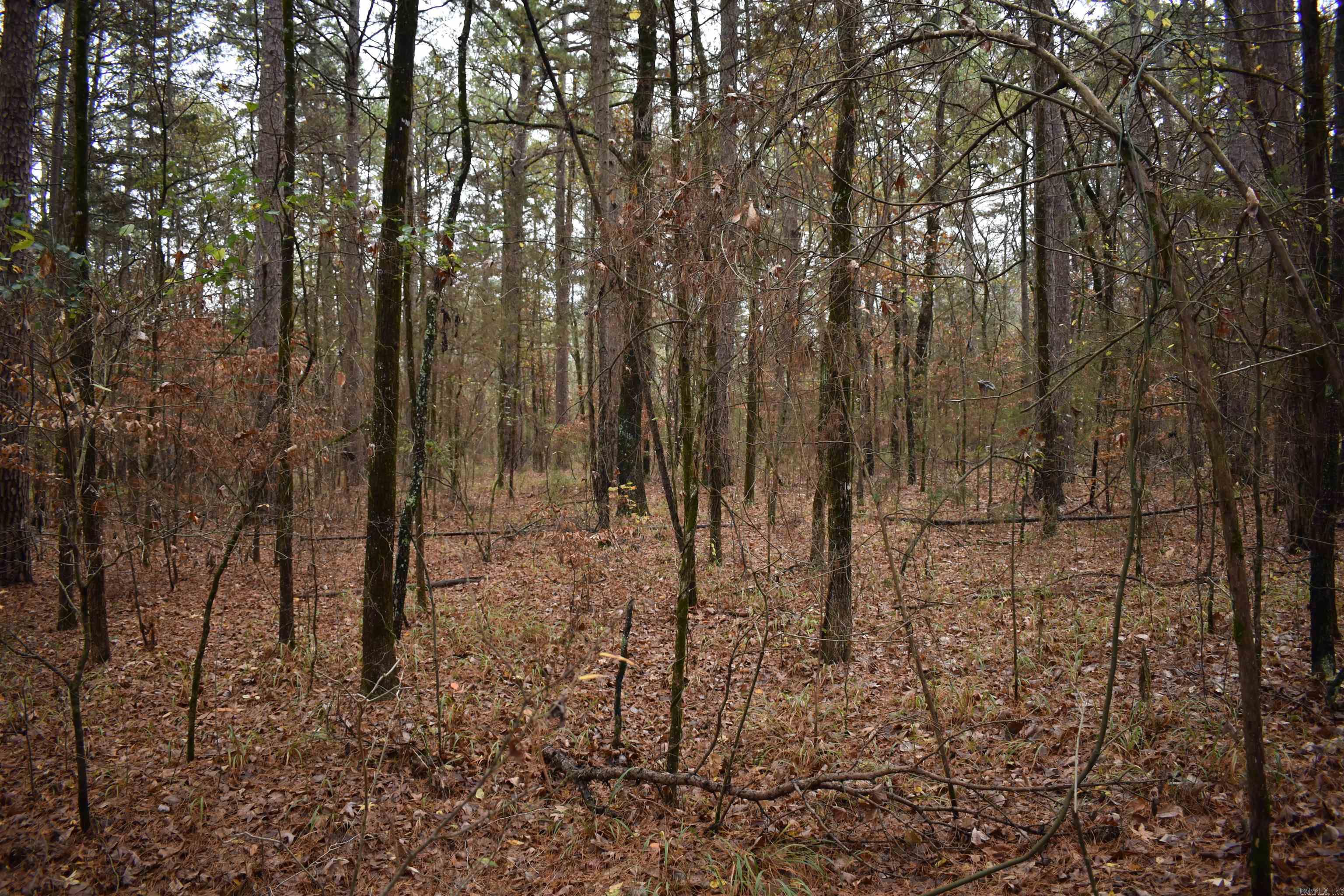 0000 County Line Road  Booneville, AR