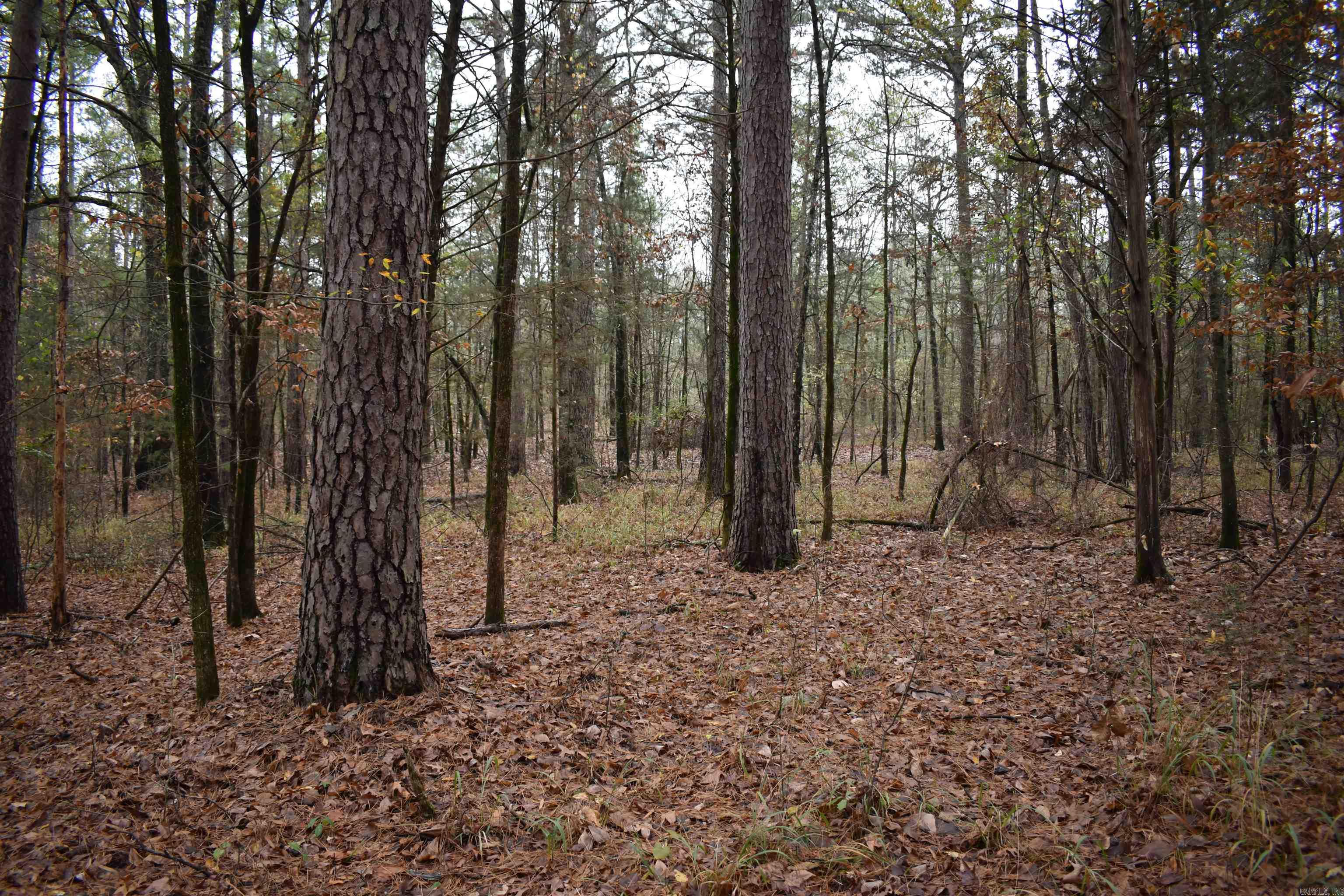 0000 County Line Road  Booneville, AR