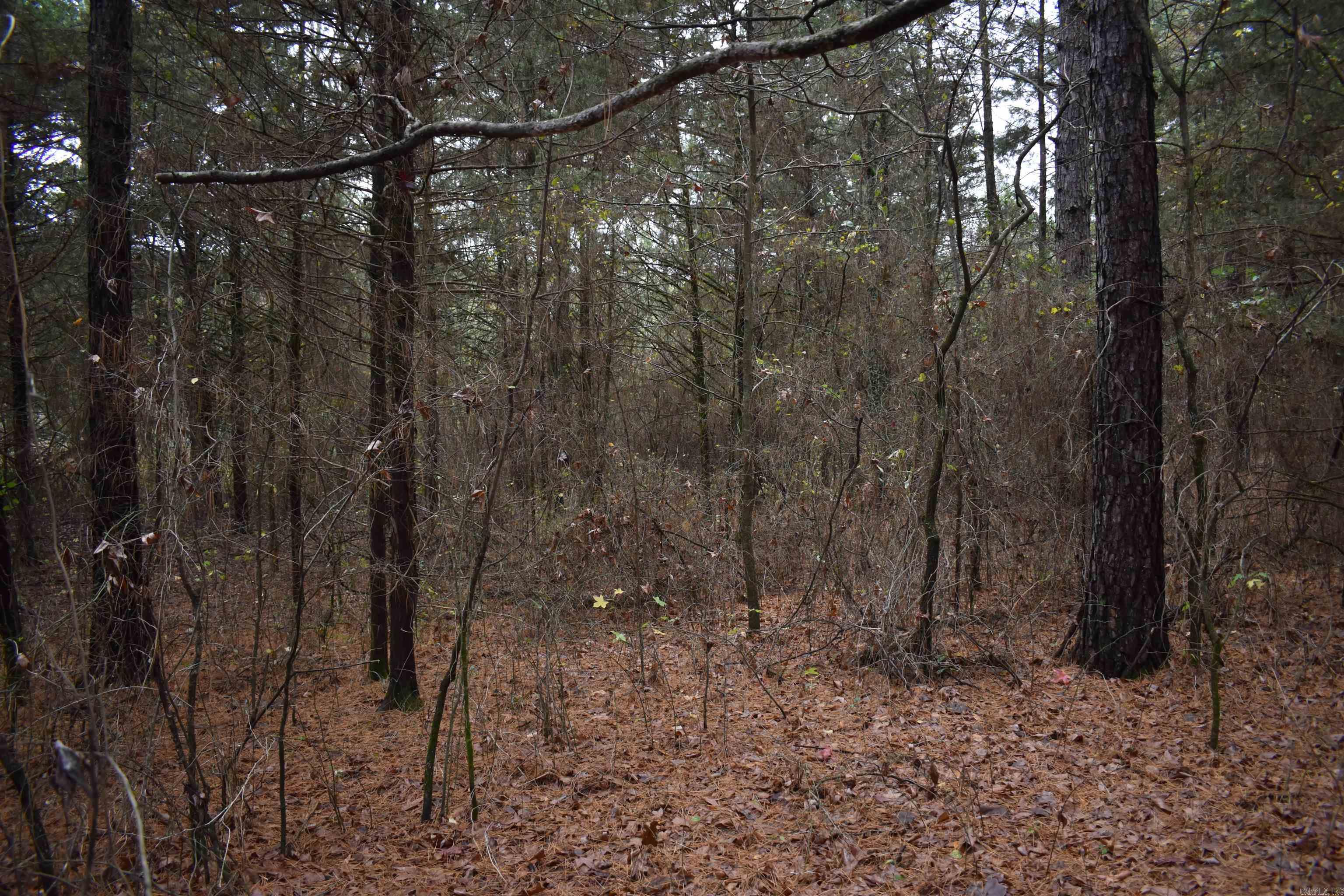 0000 County Line Road  Booneville, AR