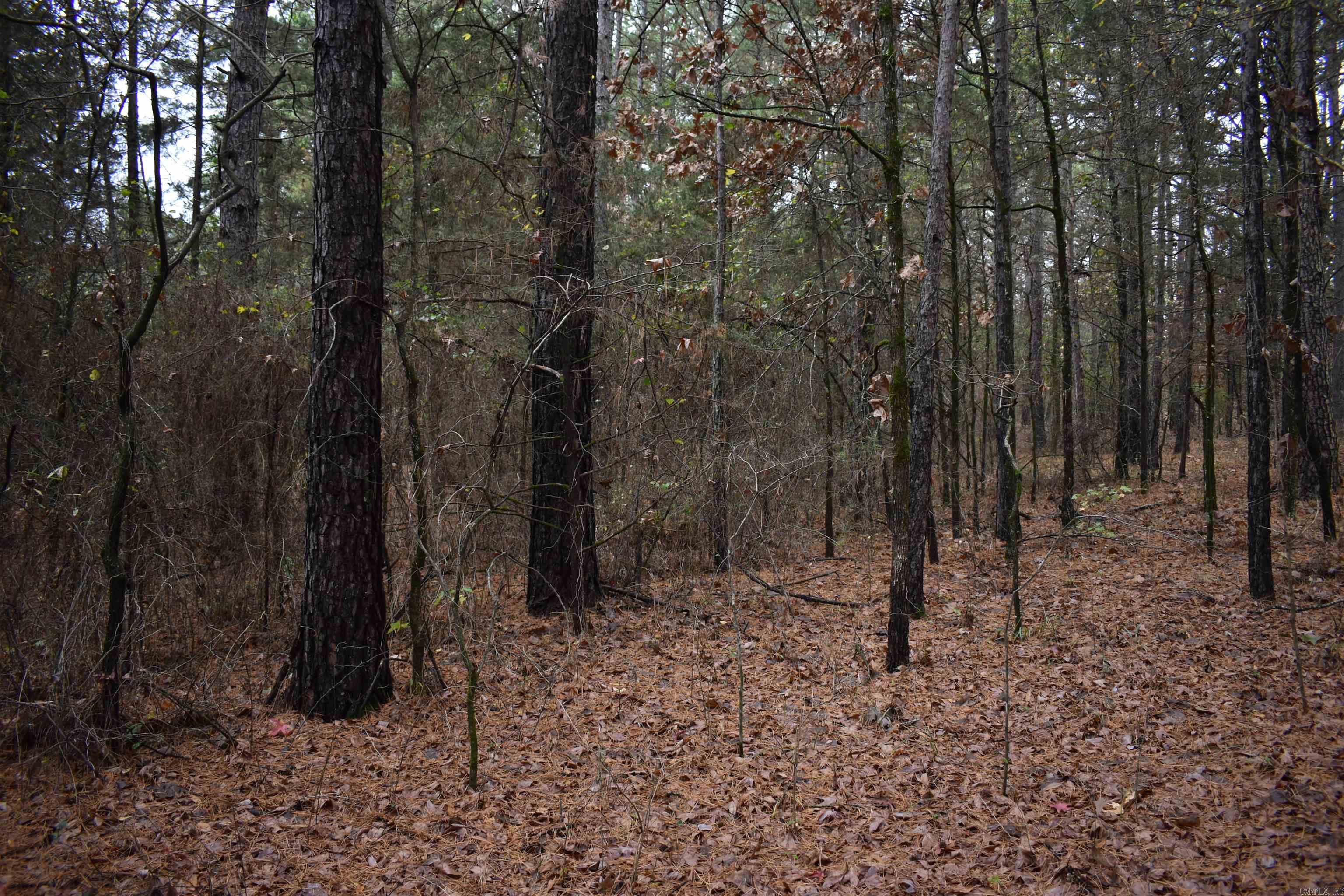 0000 County Line Road  Booneville, AR
