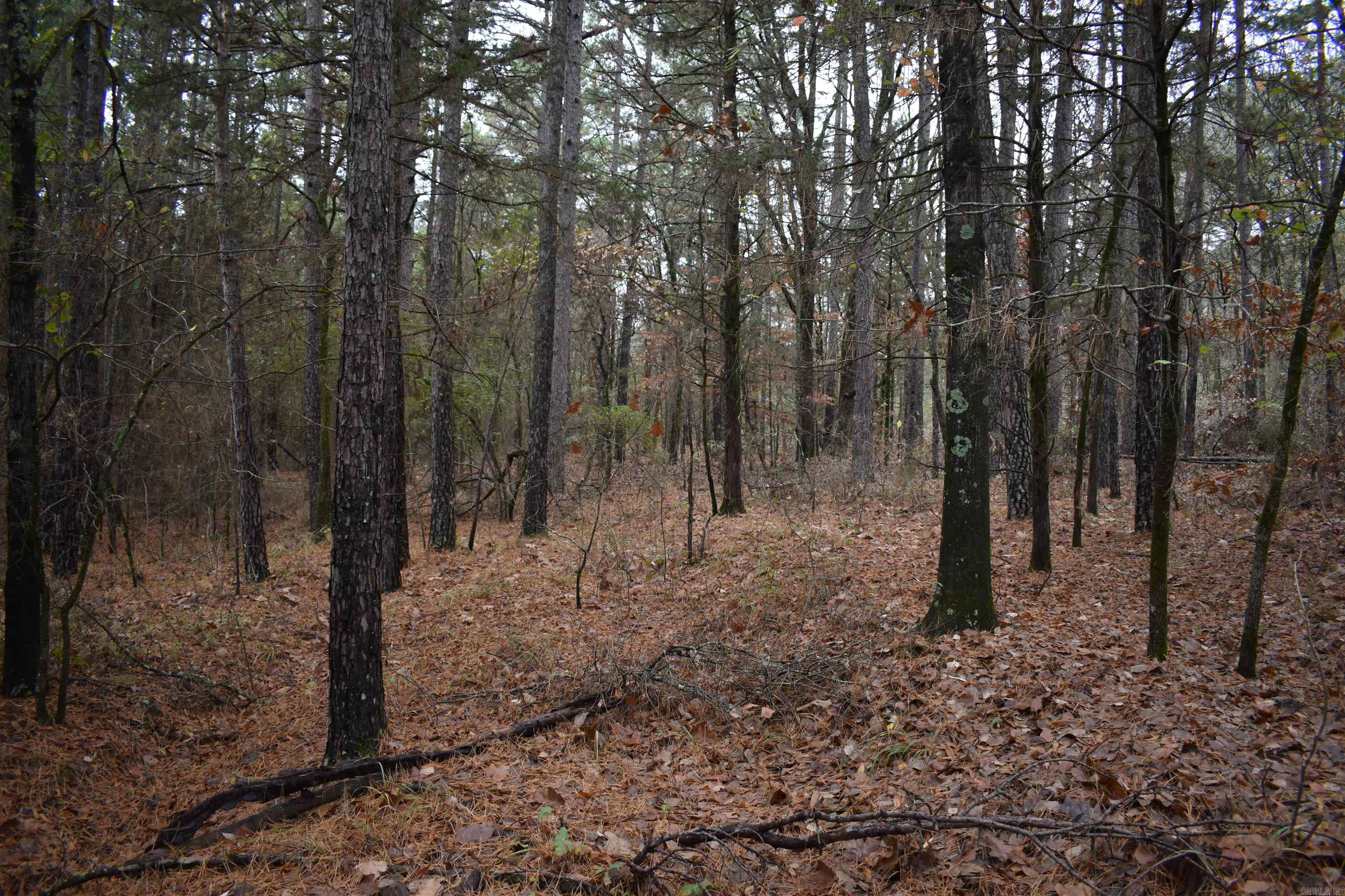 0000 County Line Road  Booneville, AR