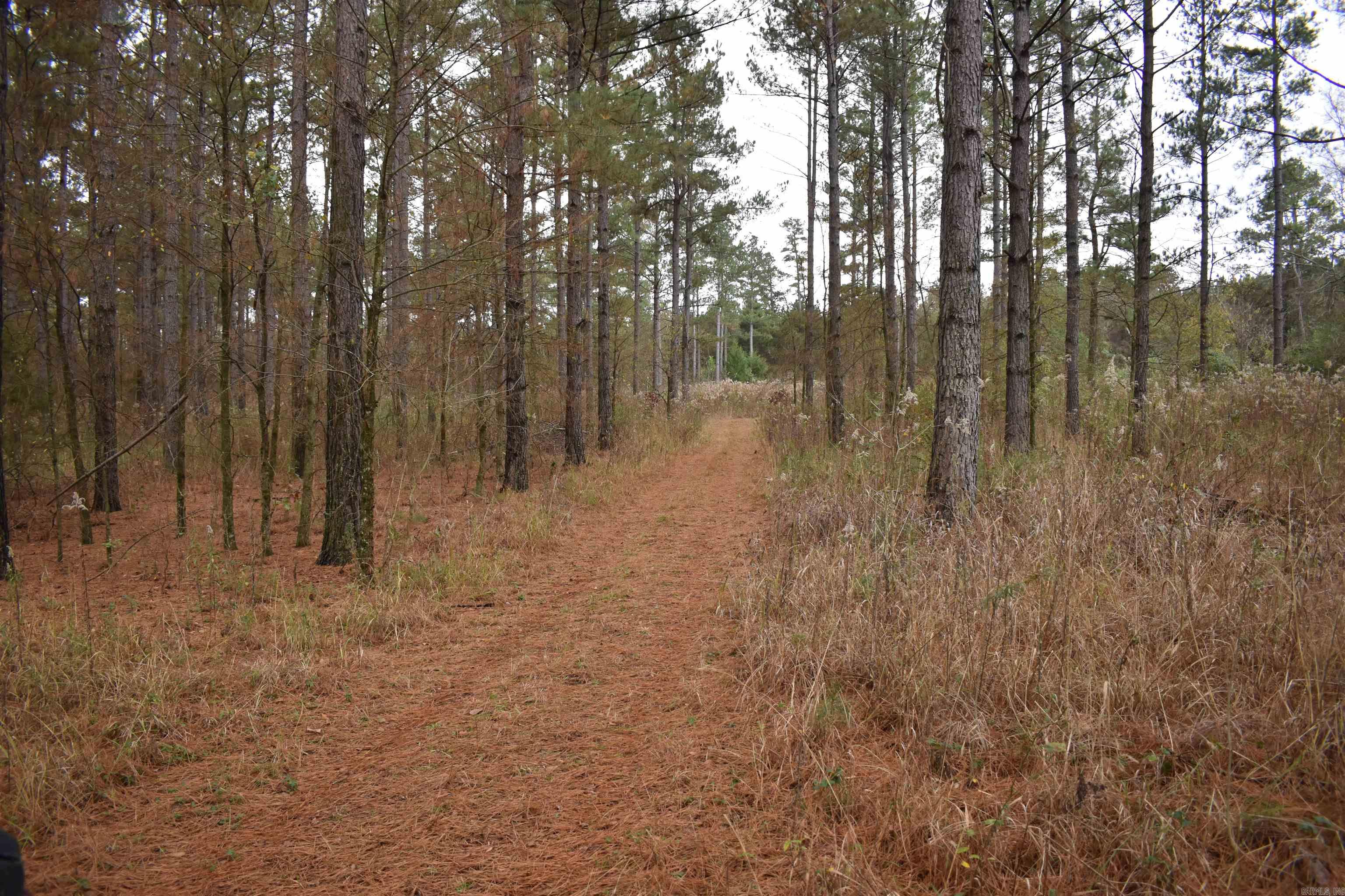 0000 Boy Scout Road  Booneville, AR