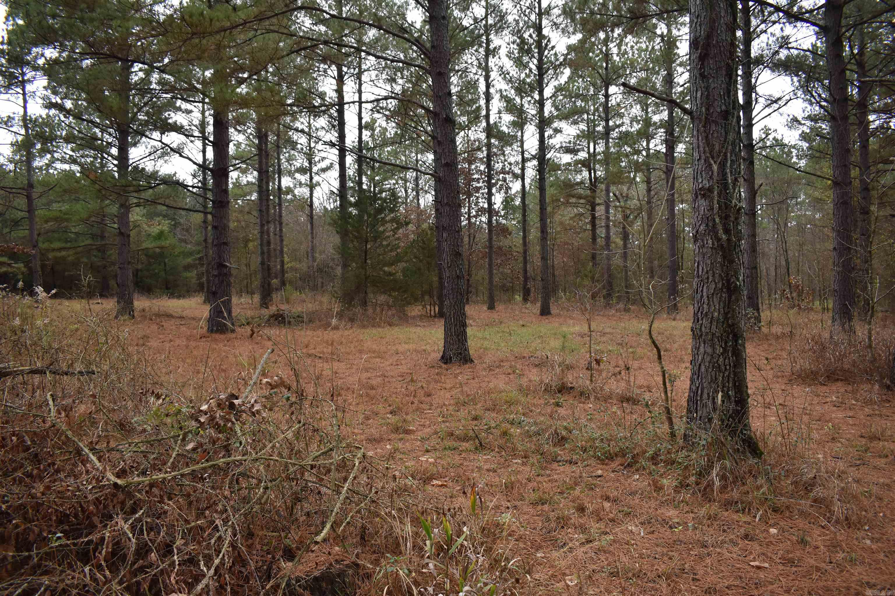 0000 Boy Scout Road  Booneville, AR