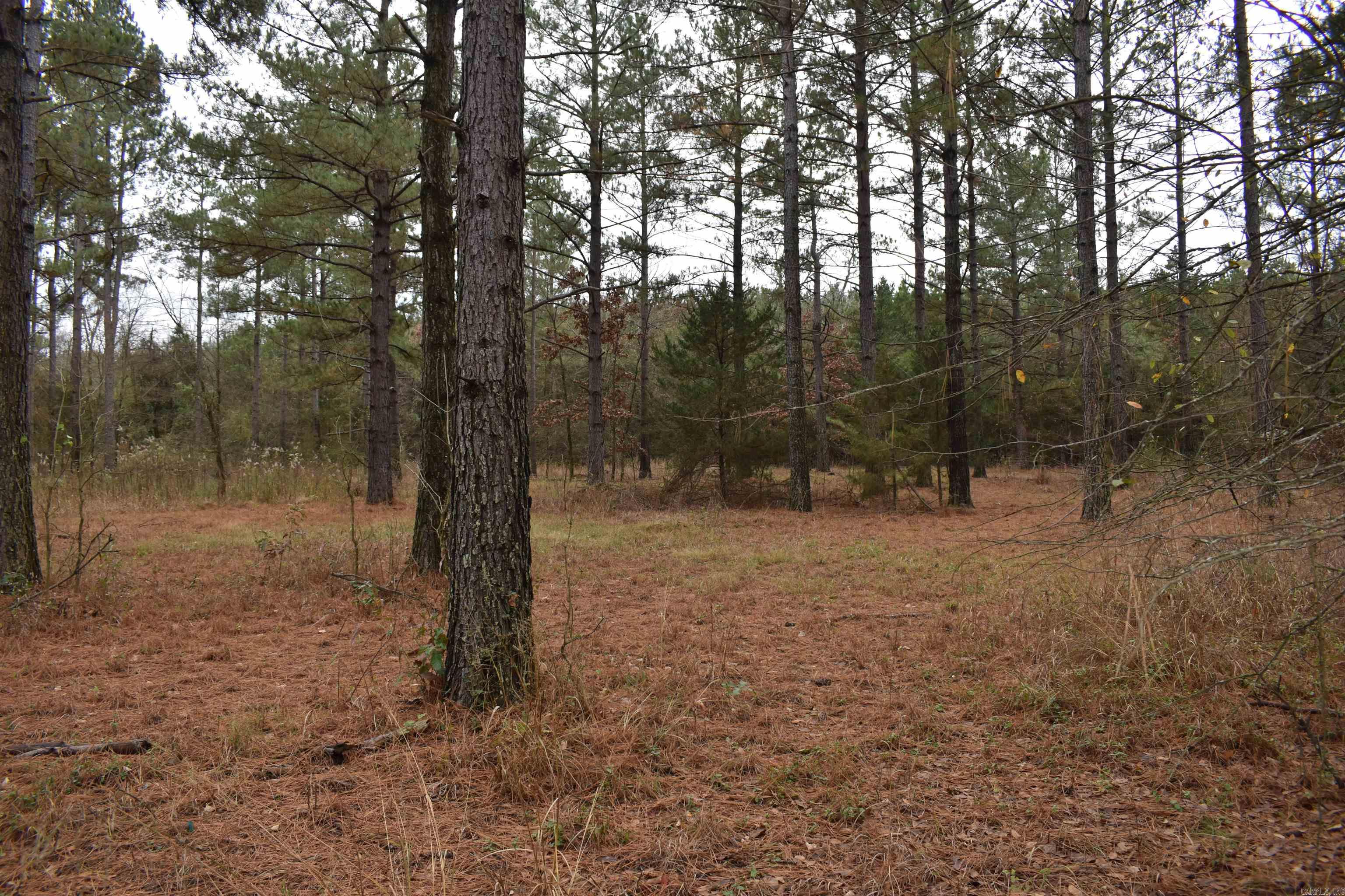 0000 Boy Scout Road  Booneville, AR