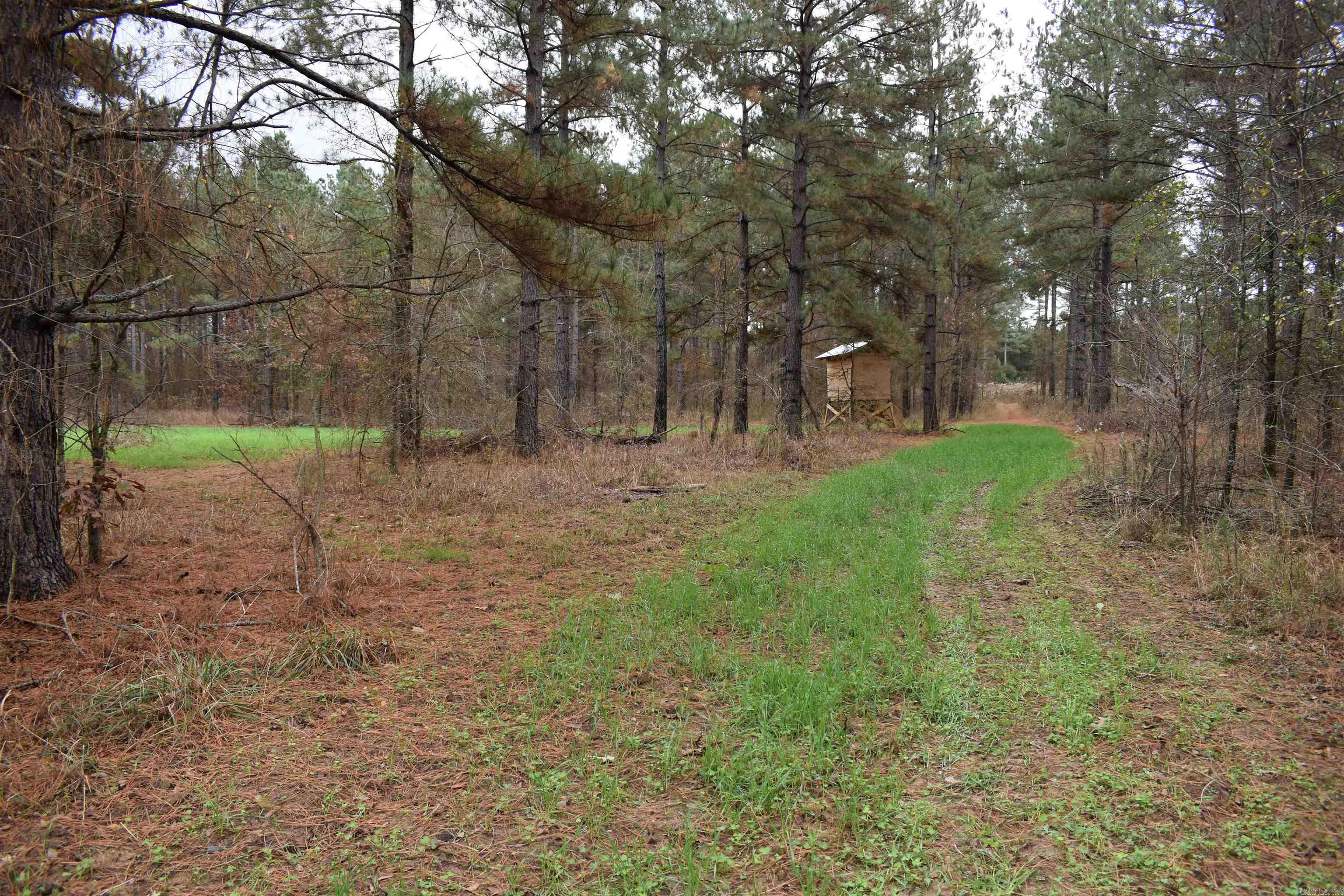 0000 Boy Scout Road  Booneville, AR