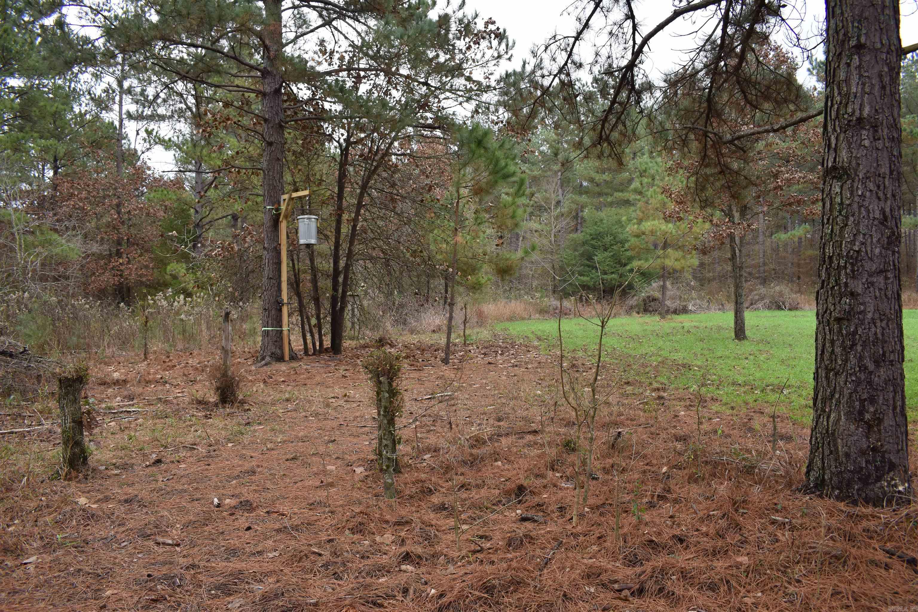 0000 Boy Scout Road  Booneville, AR