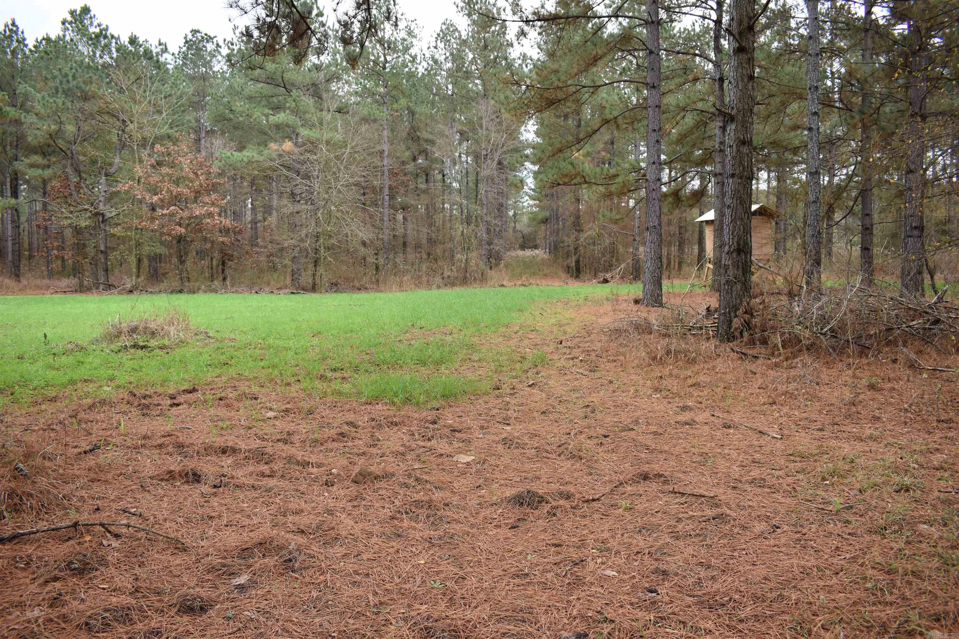 0000 Boy Scout Road  Booneville, AR