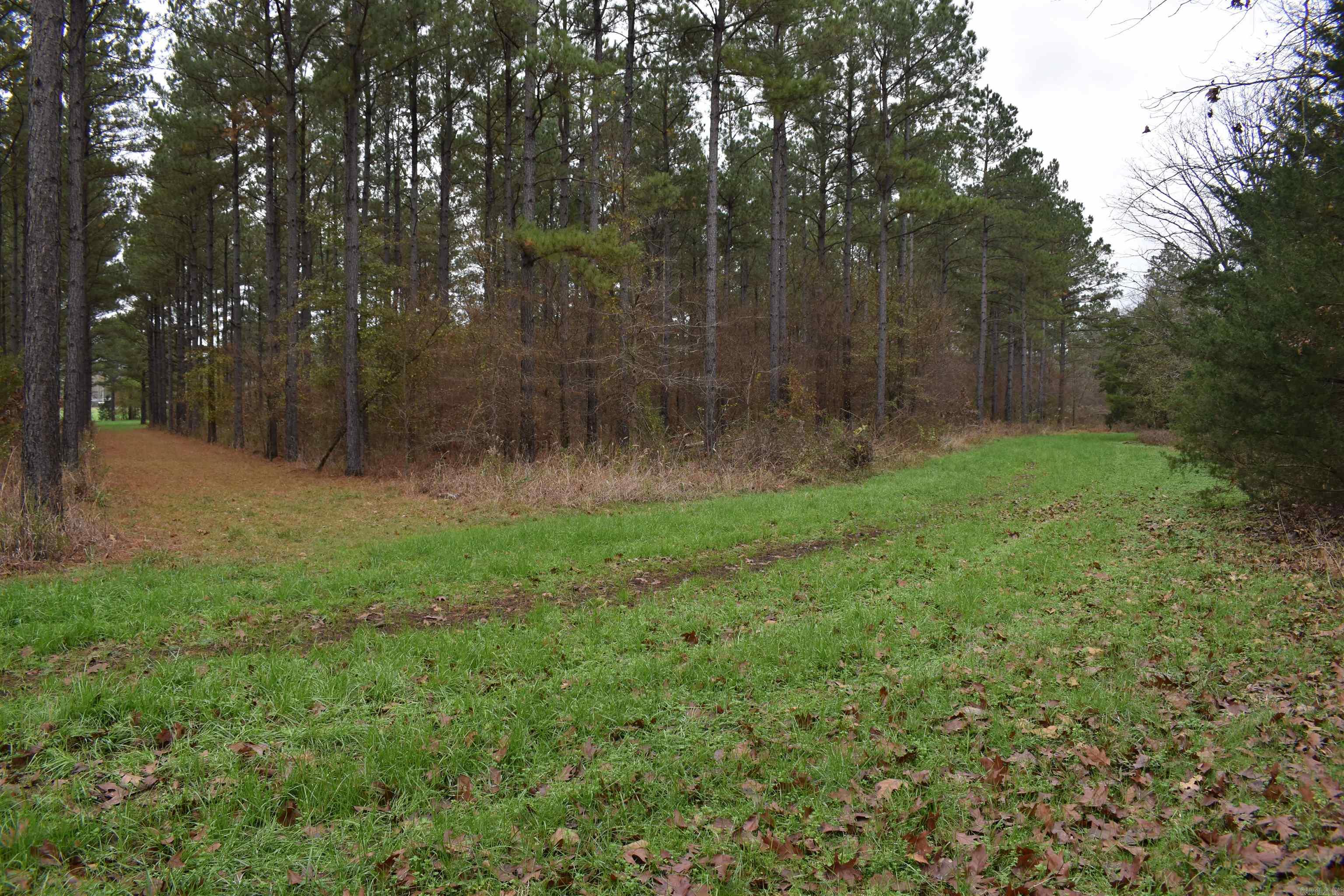 0000 Boy Scout Road  Booneville, AR