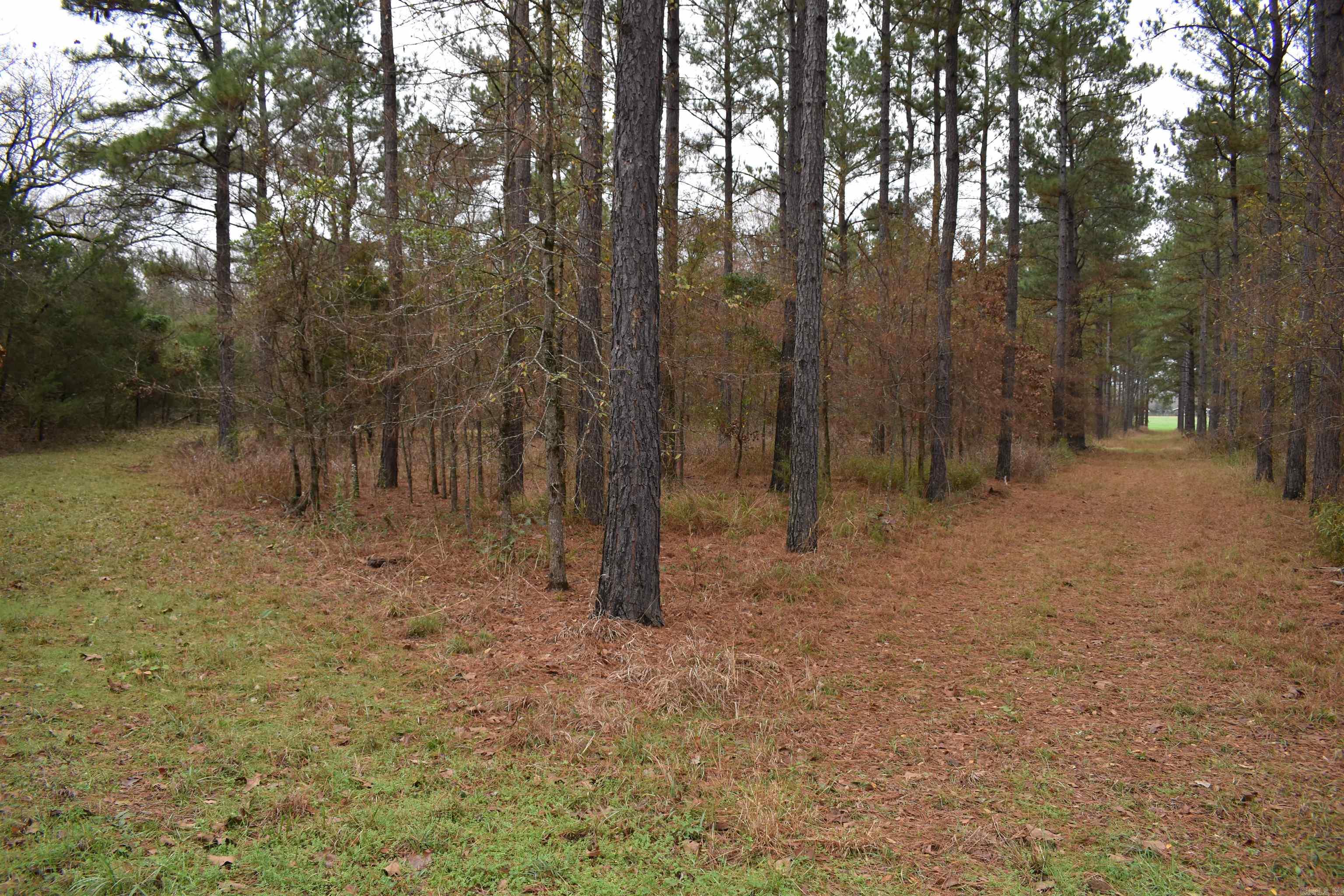 0000 Boy Scout Road  Booneville, AR