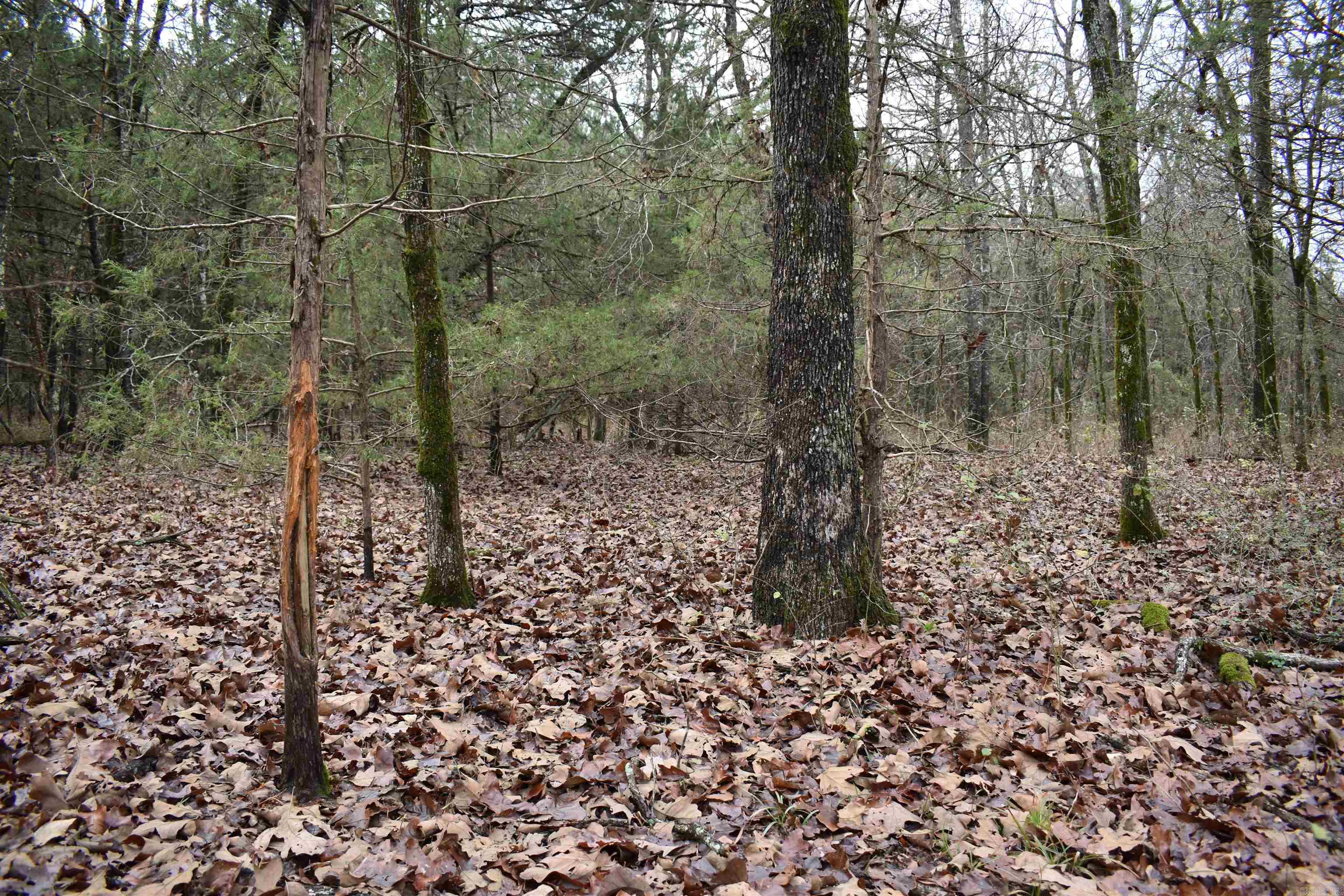 0000 Boy Scout Road  Booneville, AR