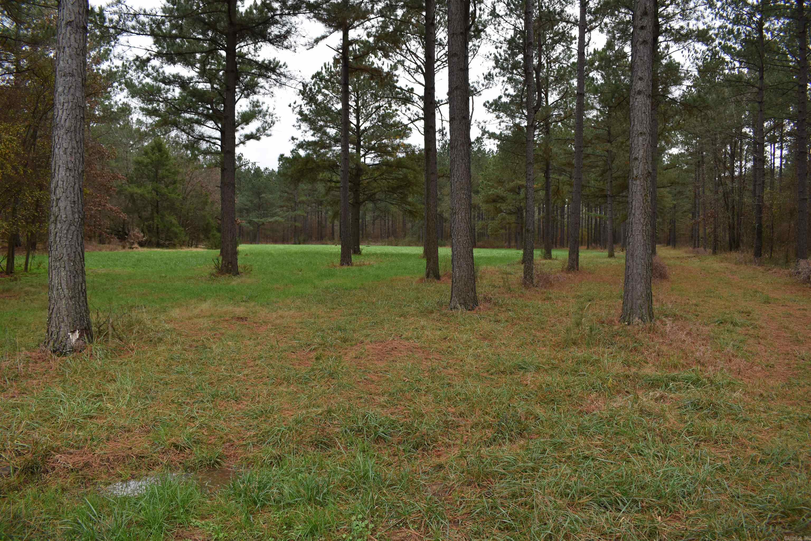 0000 Boy Scout Road  Booneville, AR