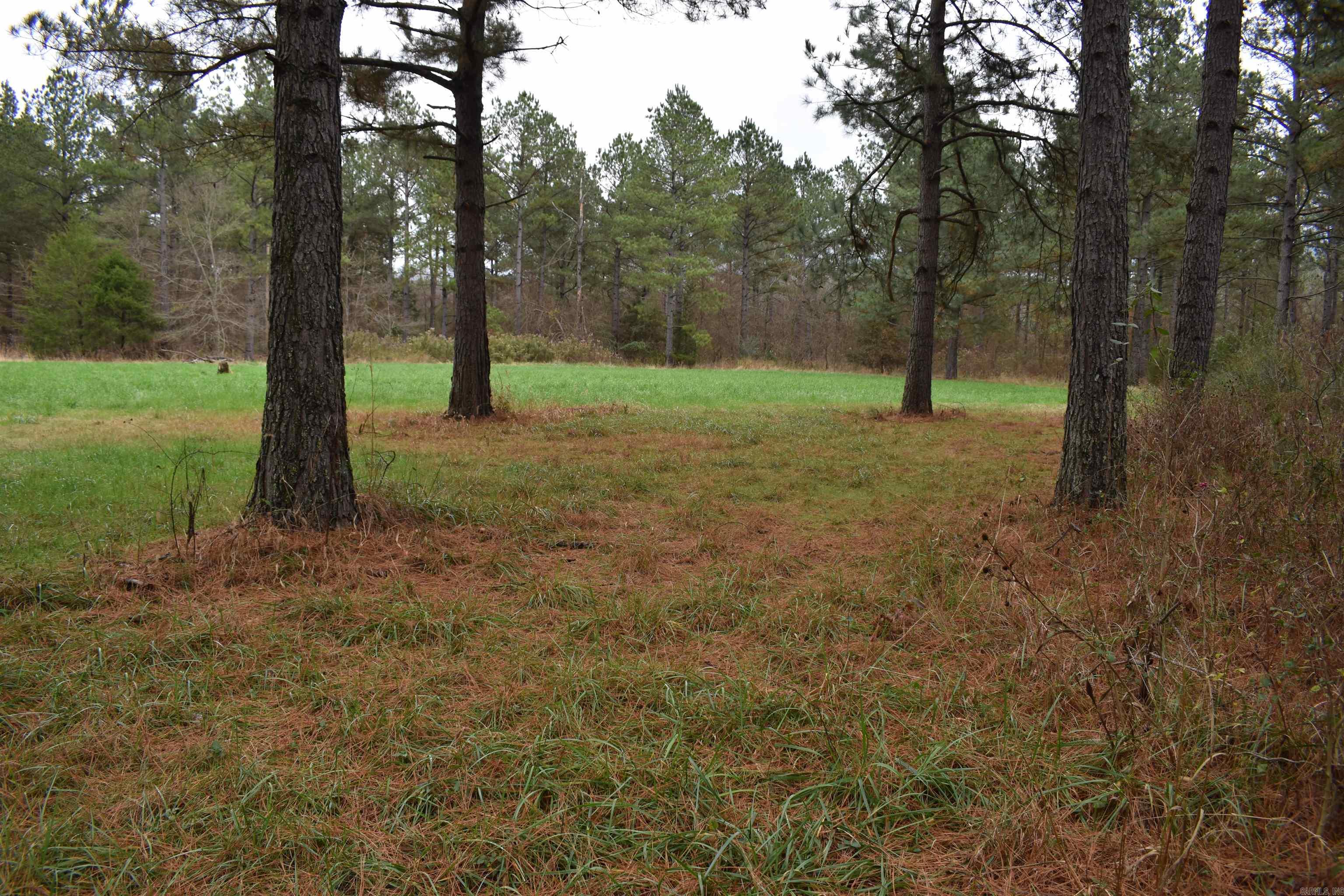 0000 Boy Scout Road  Booneville, AR