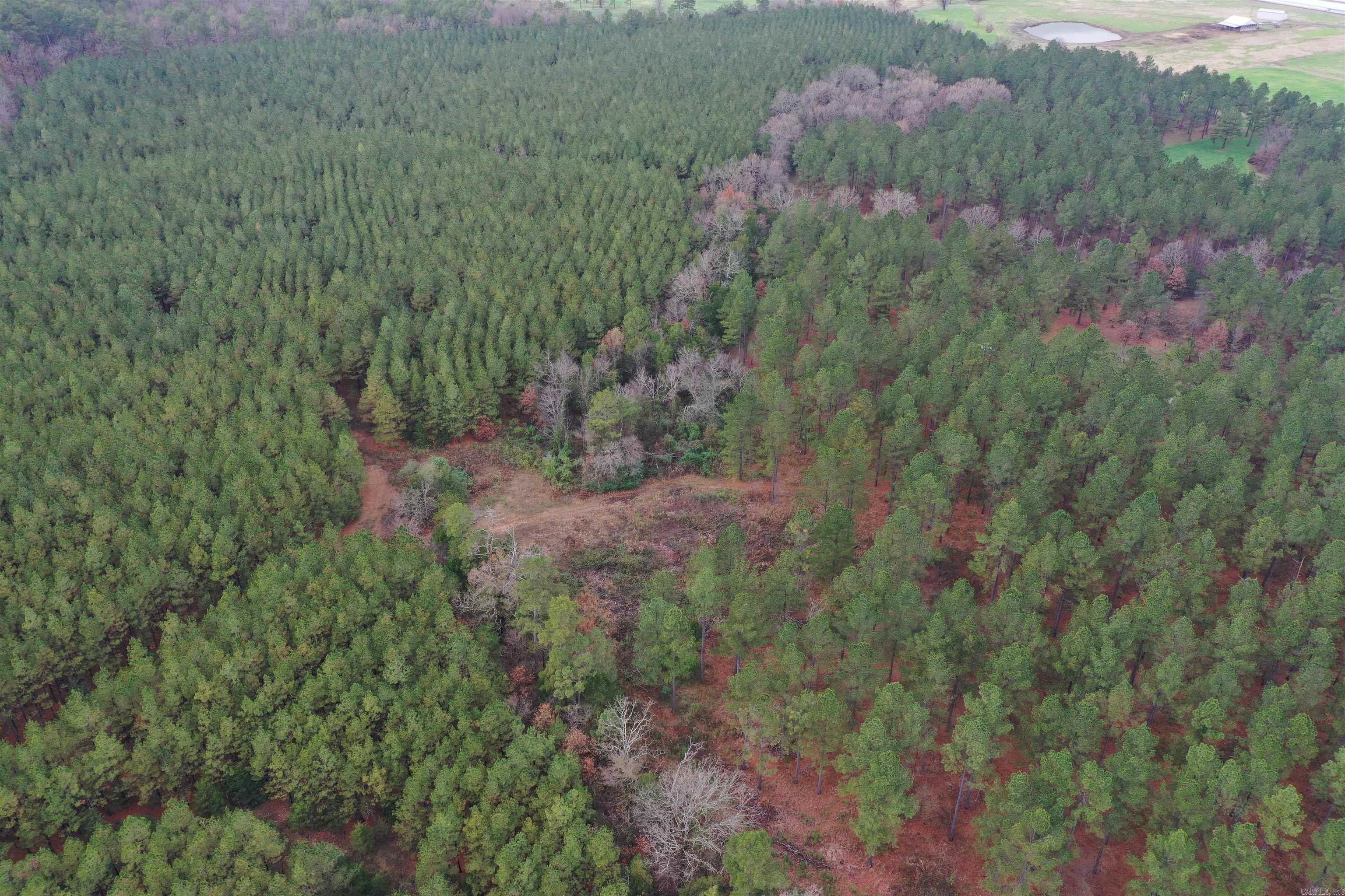 0000 Boy Scout Road  Booneville, AR