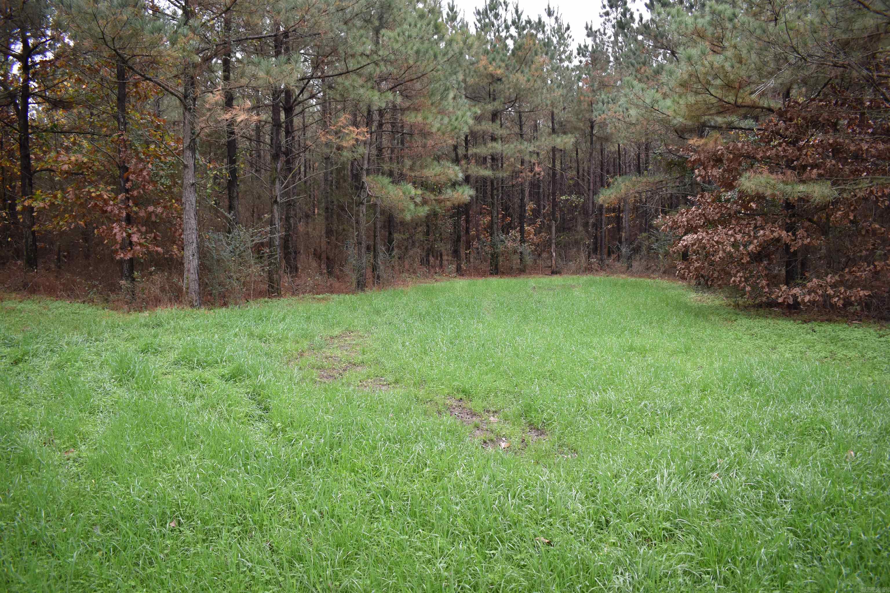 0000 Boy Scout Road  Booneville, AR