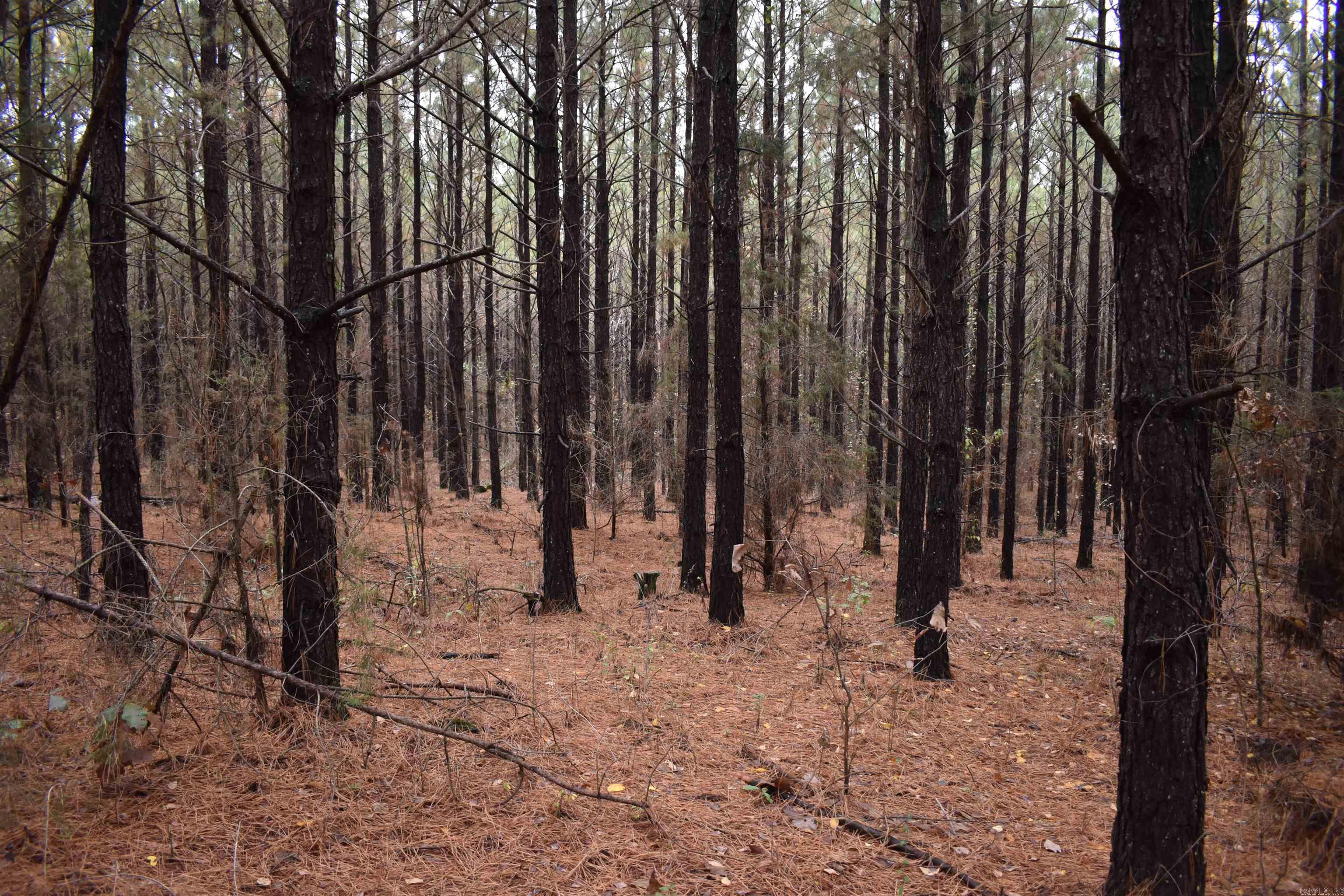 0000 Boy Scout Road  Booneville, AR