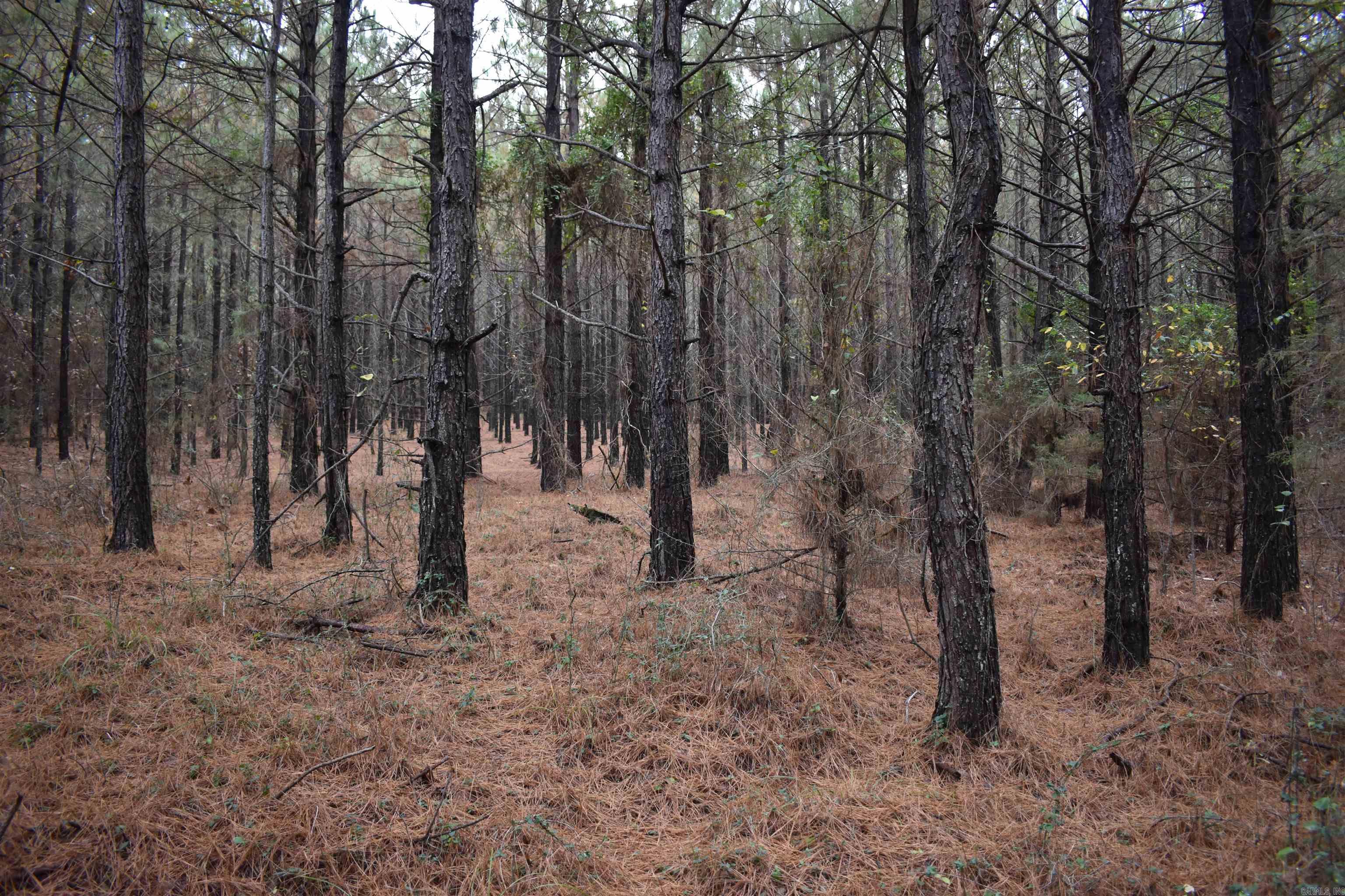 0000 Boy Scout Road  Booneville, AR