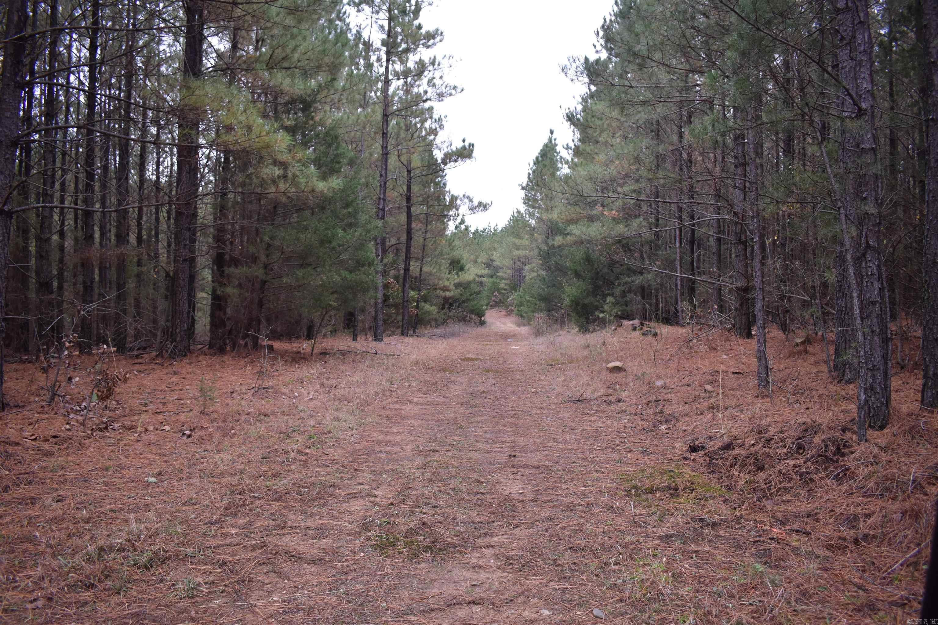 0000 Boy Scout Road  Booneville, AR