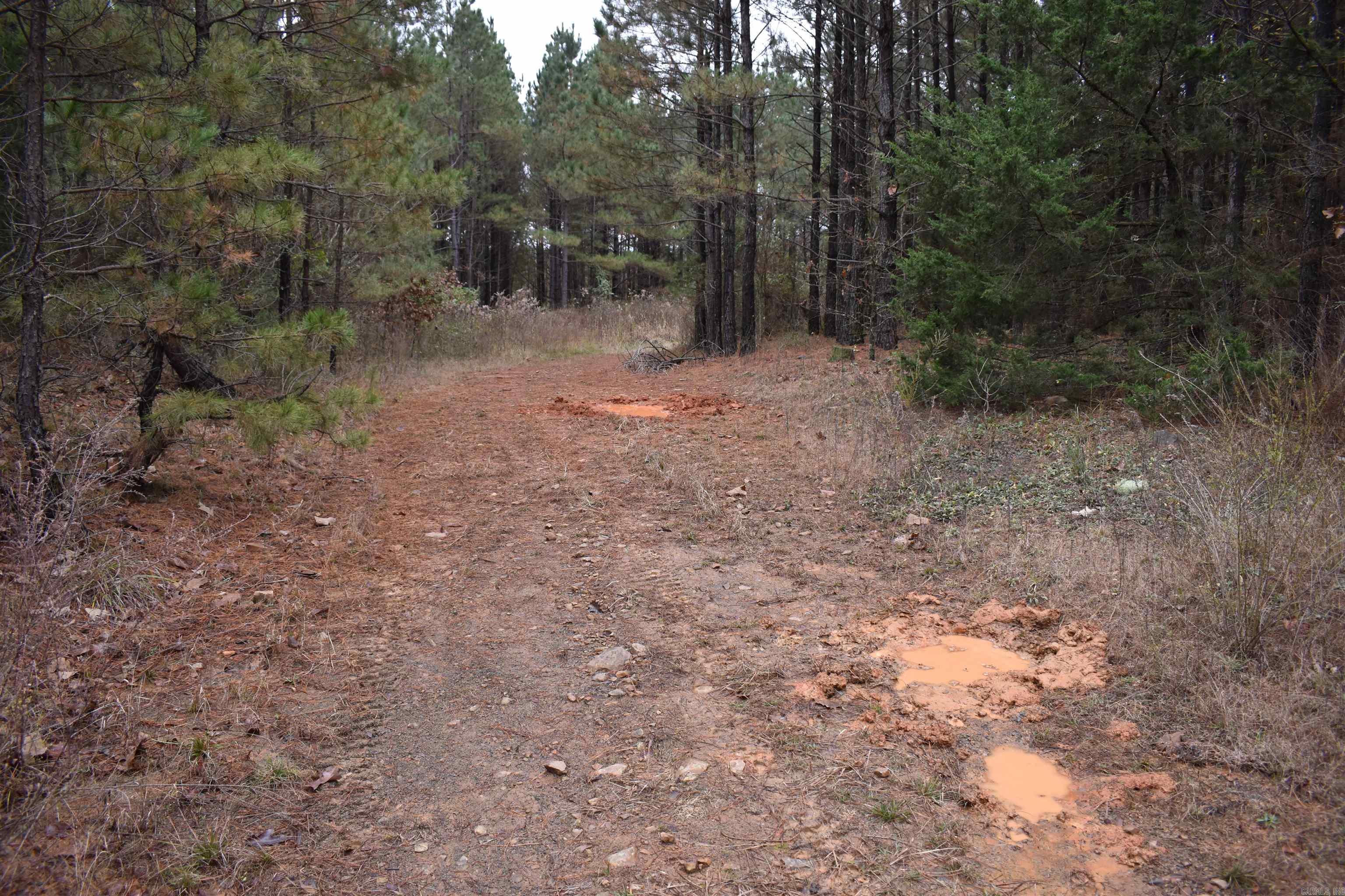 0000 Boy Scout Road  Booneville, AR