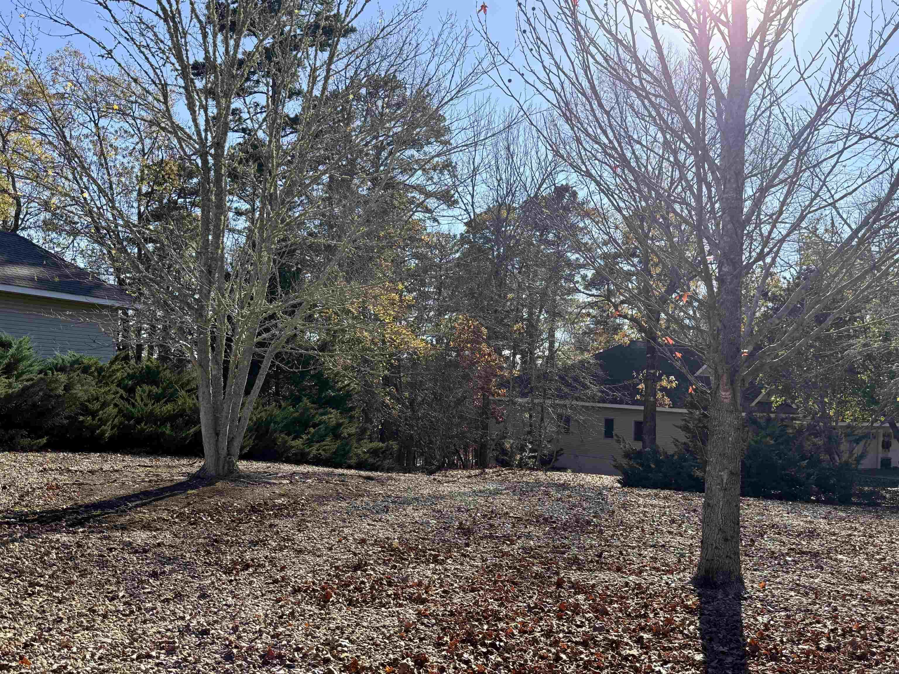 00 Divino  Hot Springs Village, AR