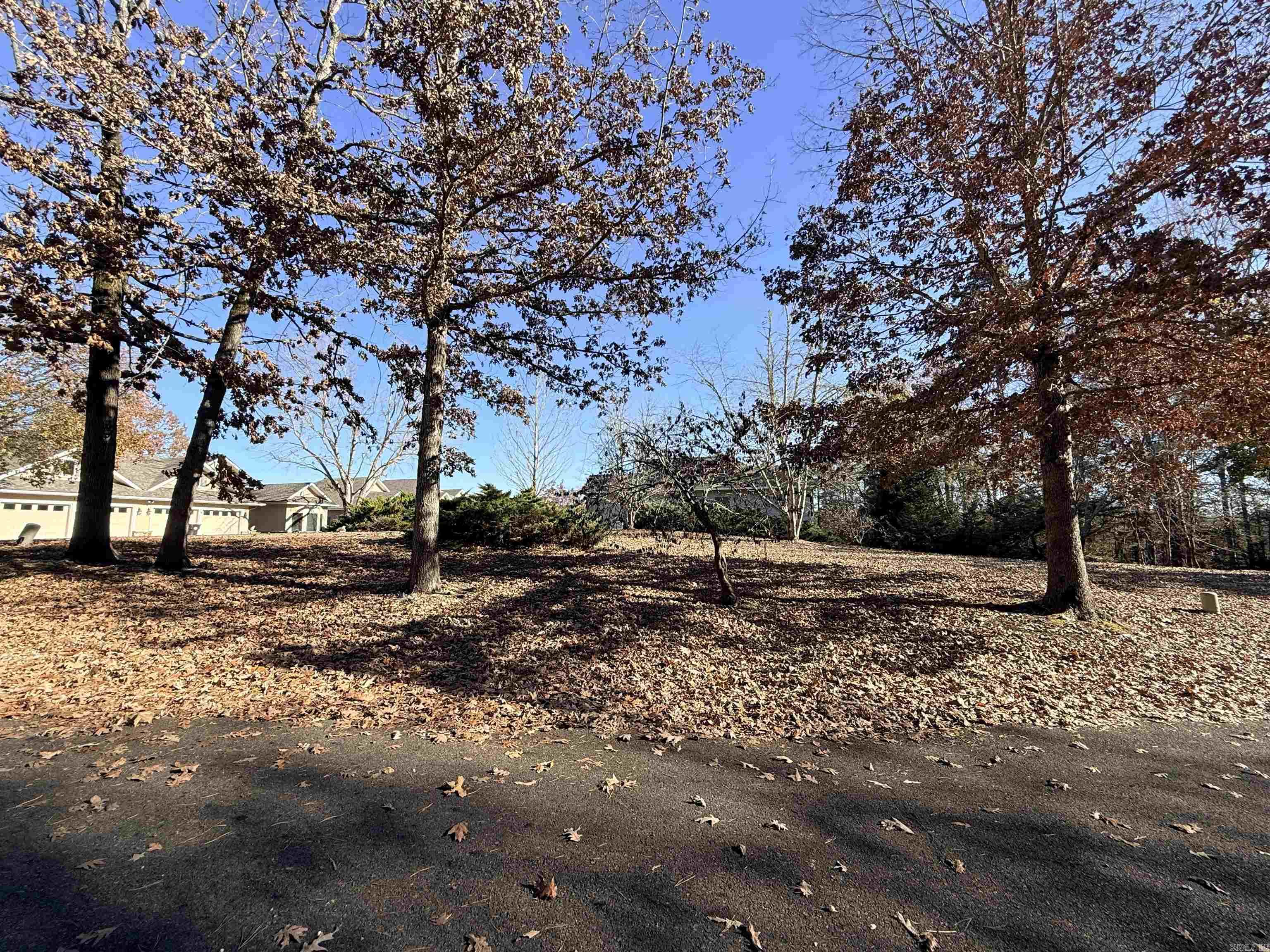 00 Divino  Hot Springs Village, AR