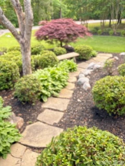 16 Heraldia Lane  Hot Springs Village, AR