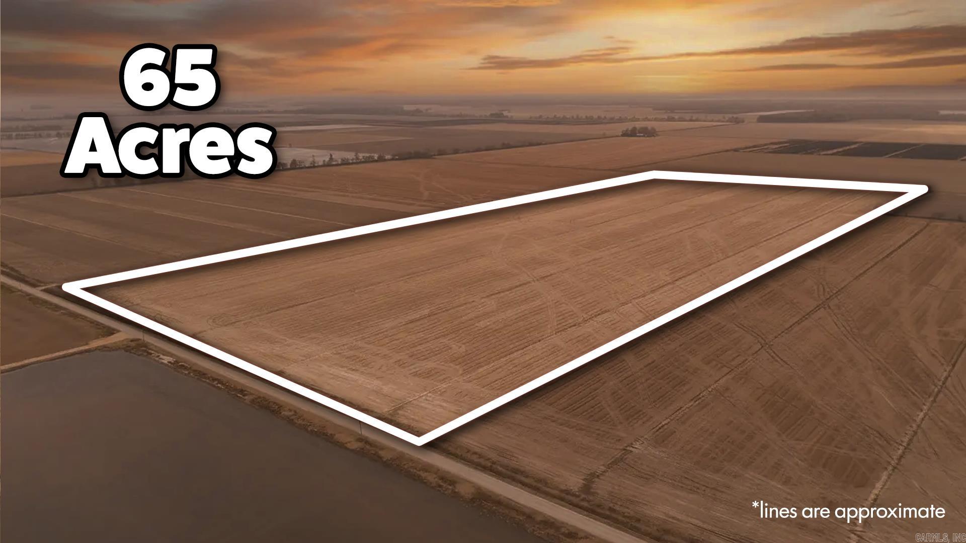  Clay 311  Corning, AR