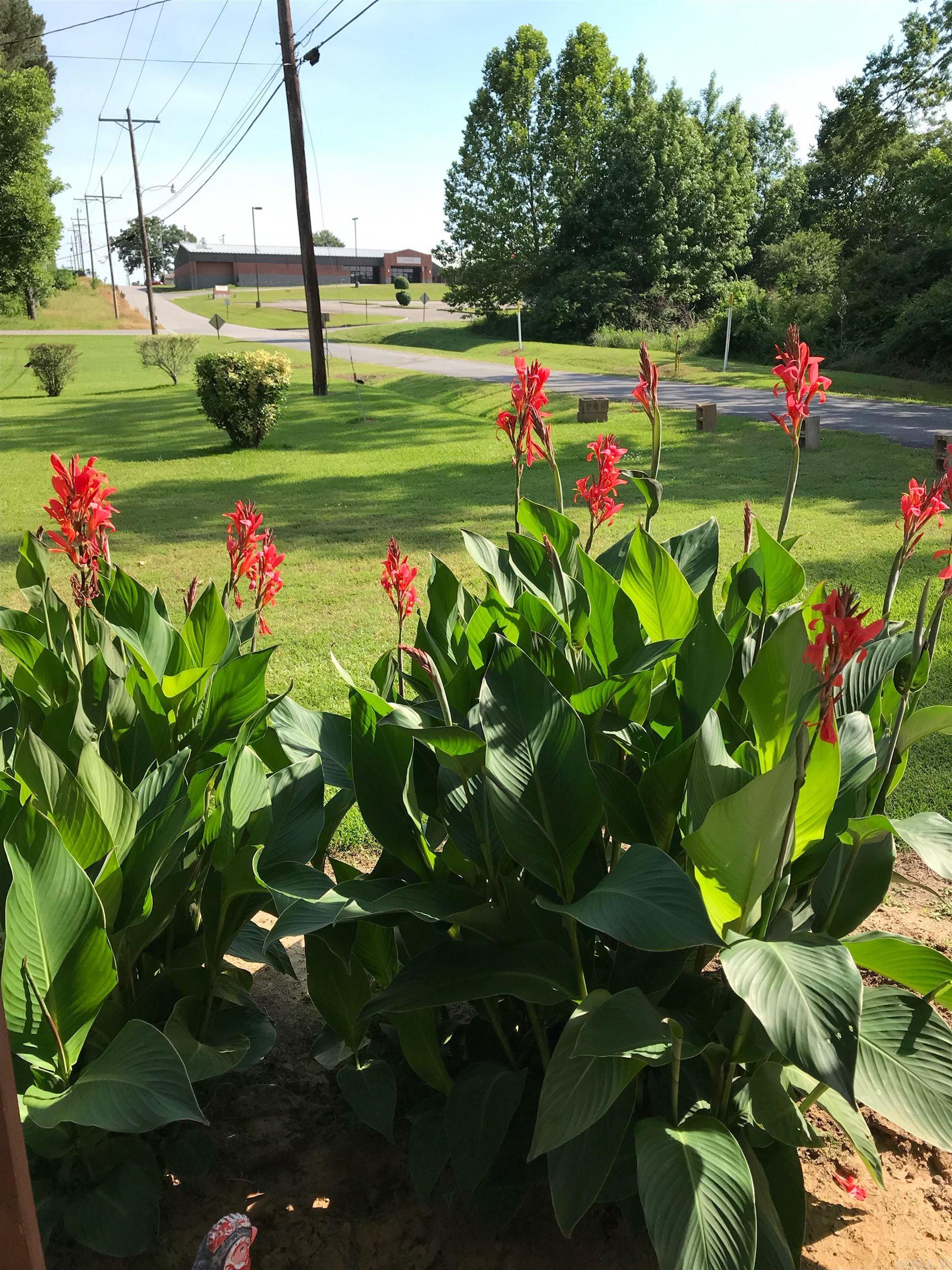 912 N Hickory  Bald Knob, AR