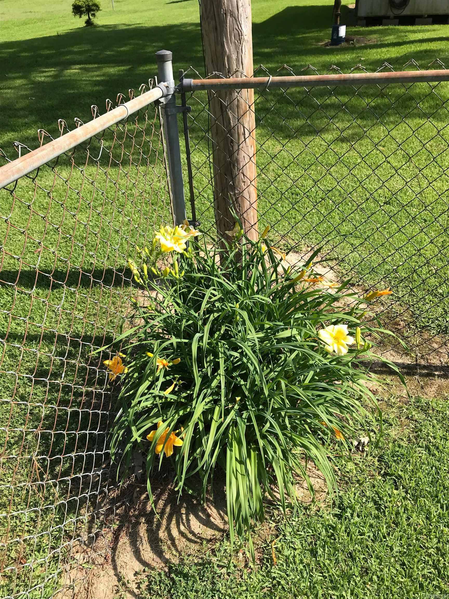 912 N Hickory  Bald Knob, AR