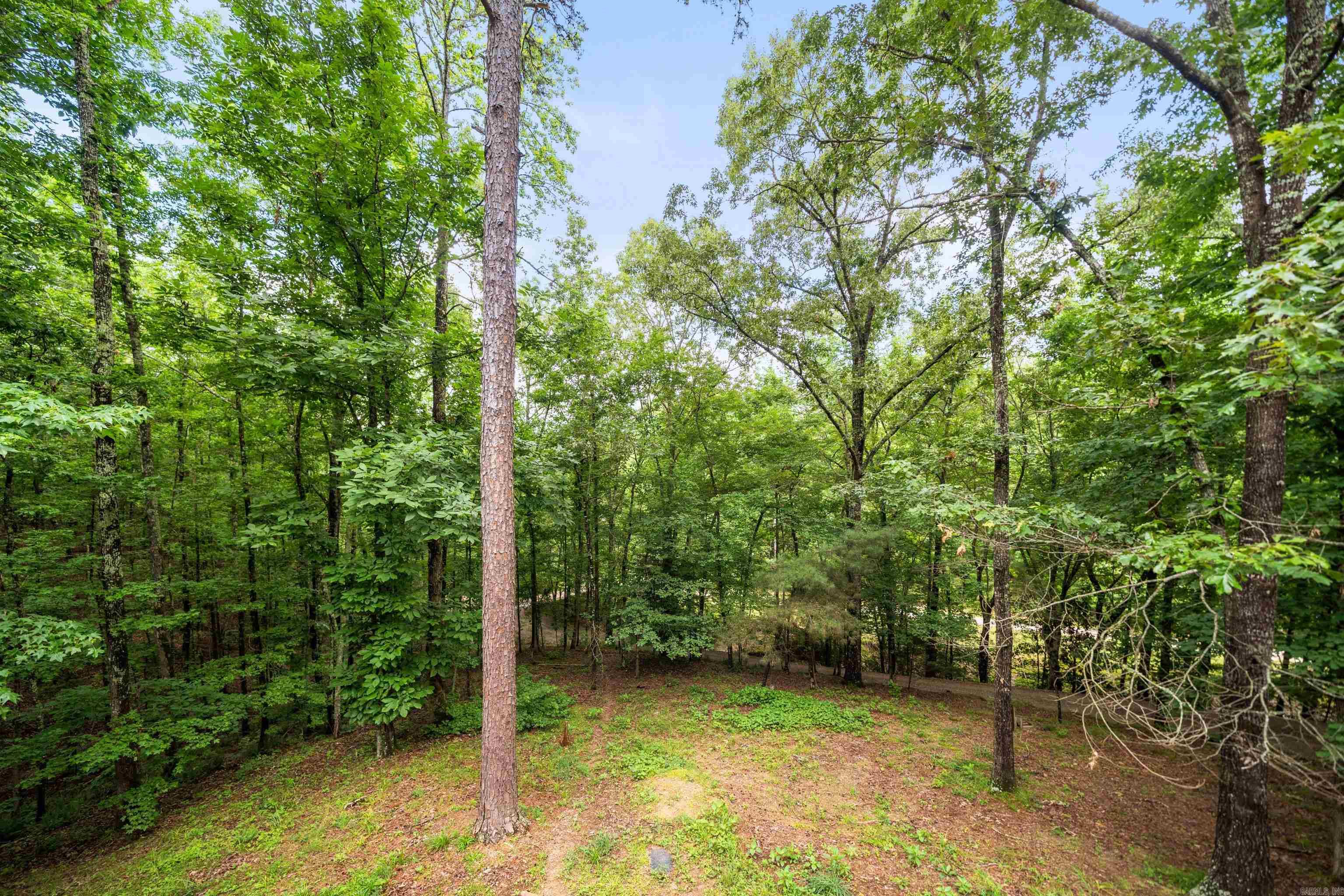 232 Alydar  Hot Springs, AR