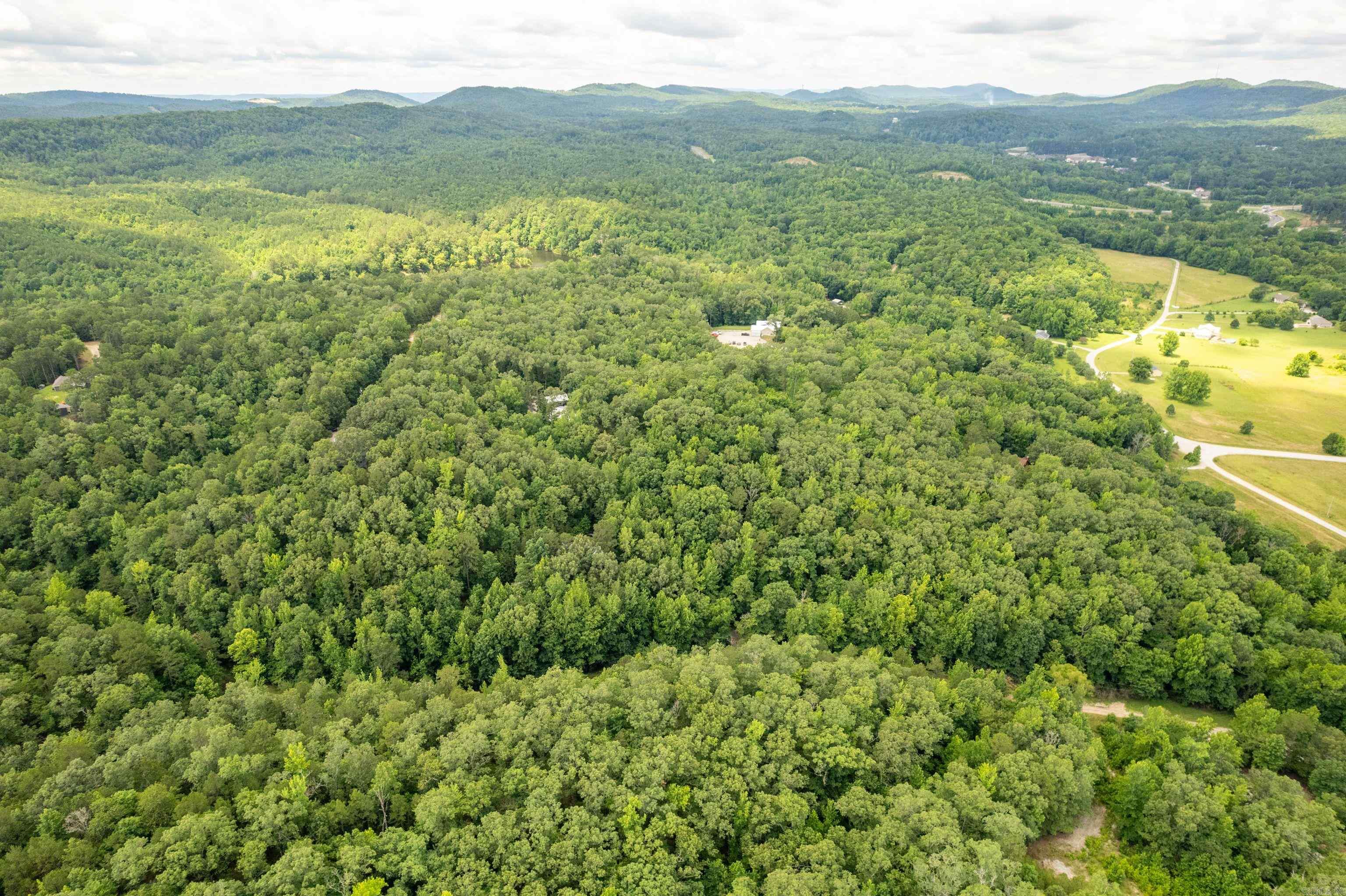 232 Alydar  Hot Springs, AR