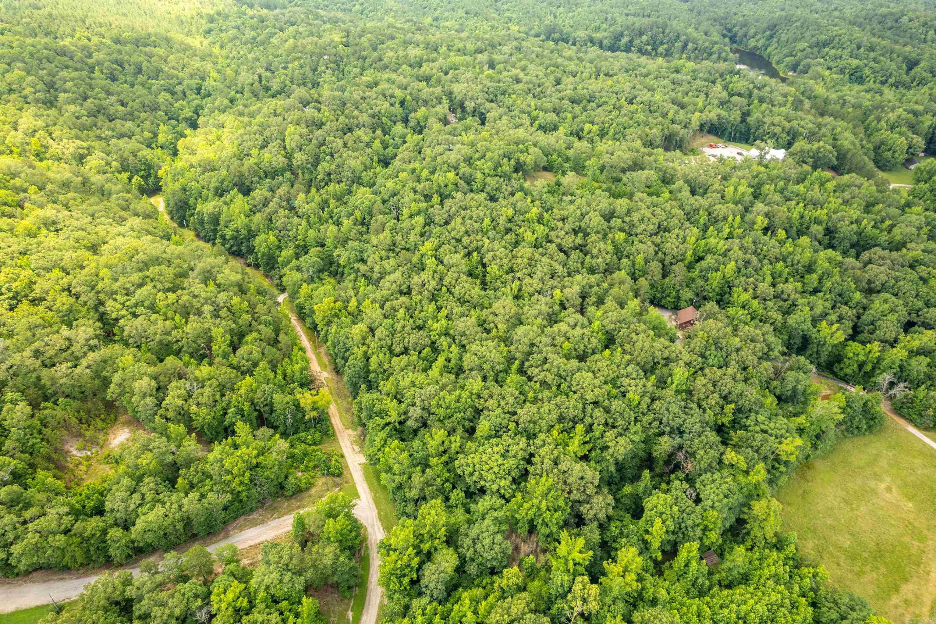 232 Alydar  Hot Springs, AR