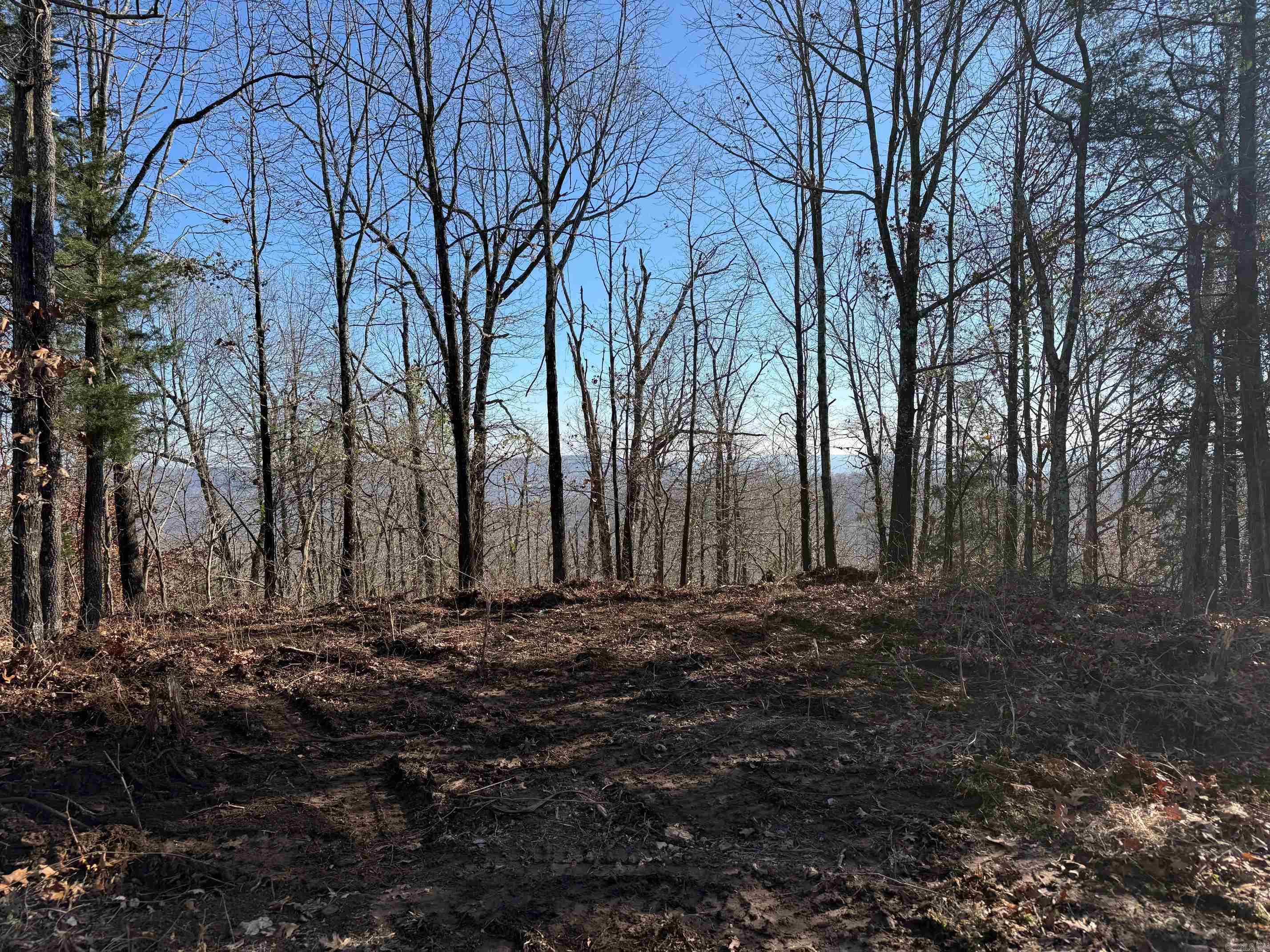 TBD CR 5261  Oark, AR