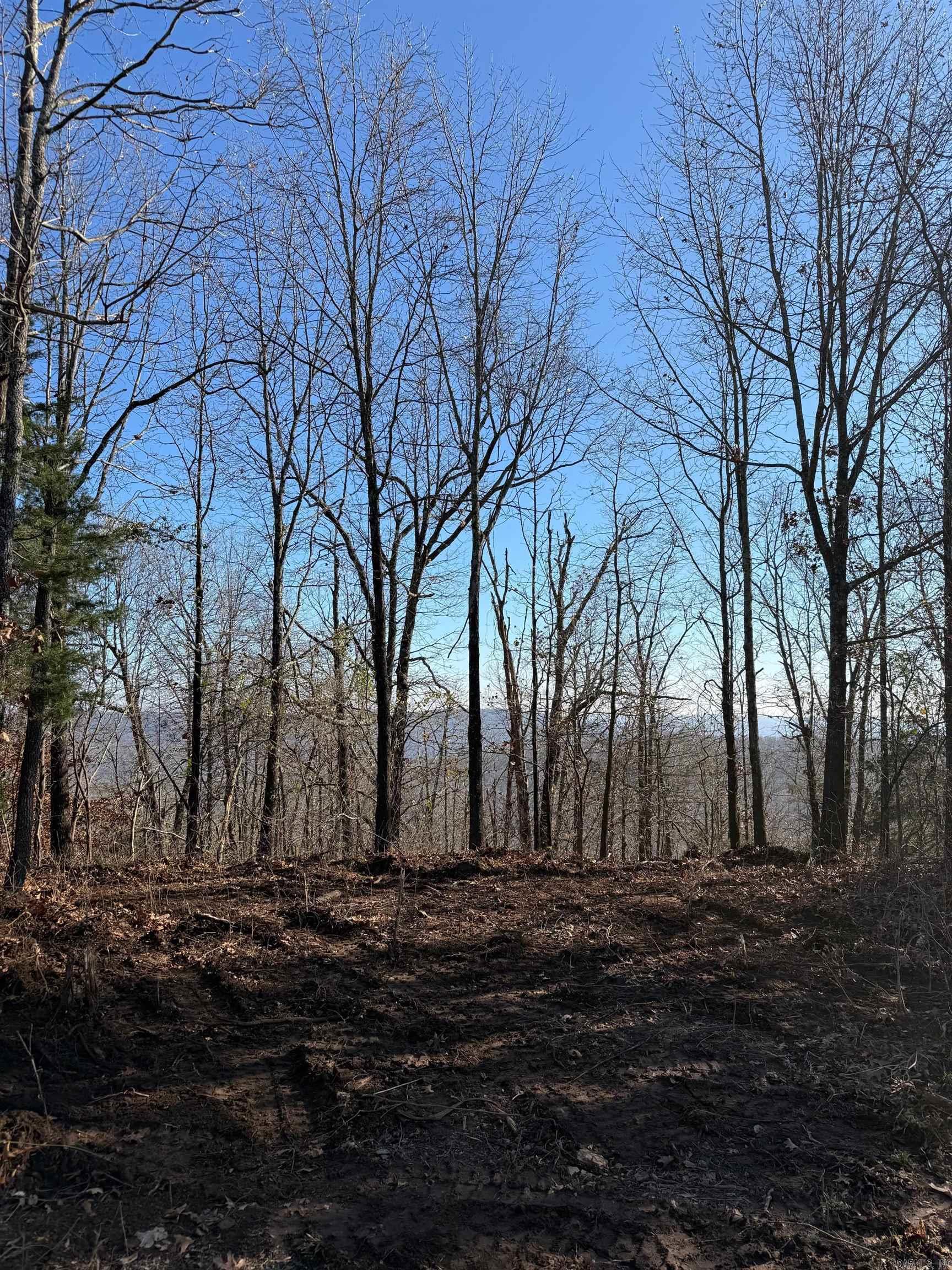 TBD CR 5261  Oark, AR