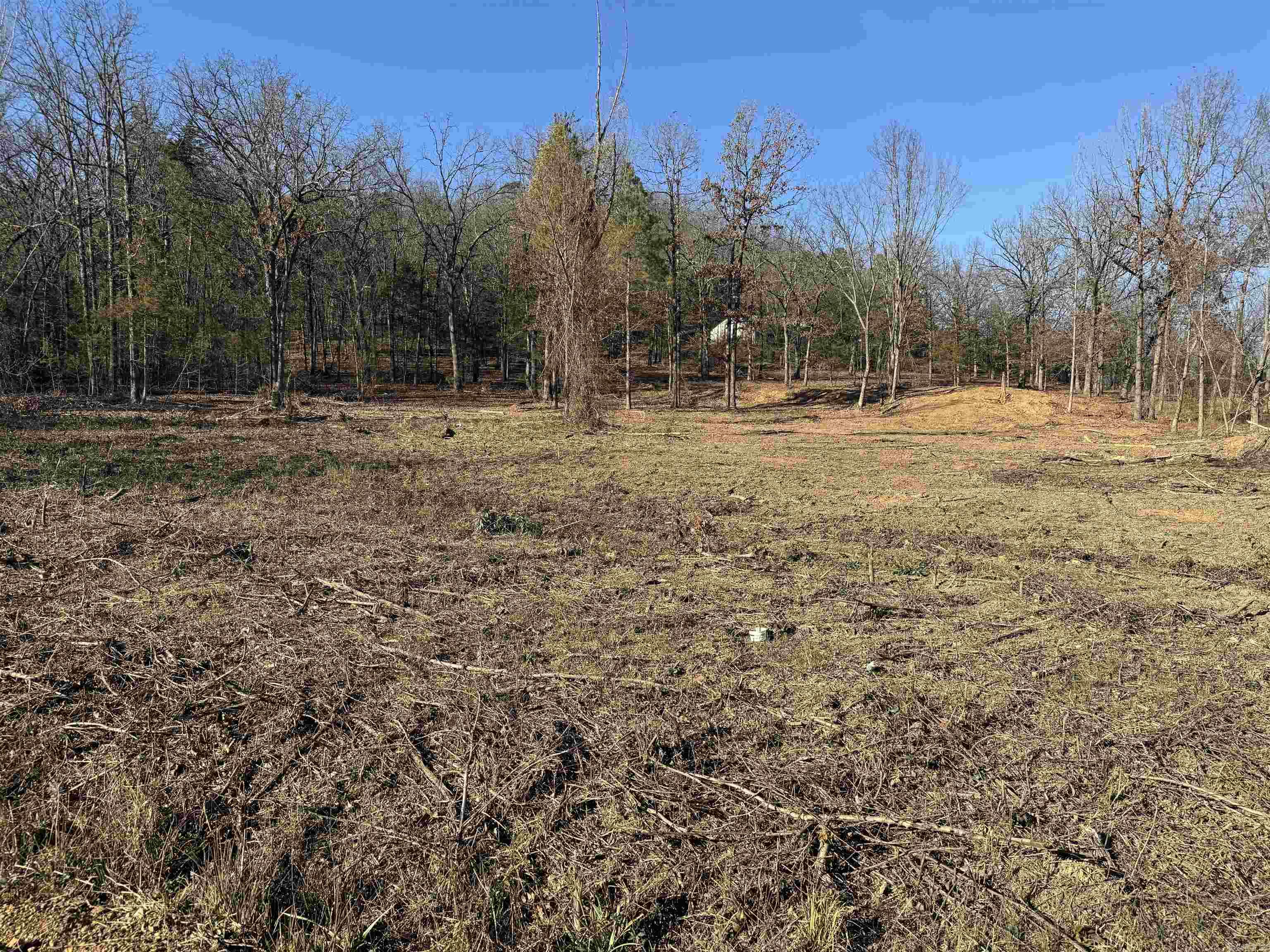 568 Peckerwood Lane  New Blaine, AR