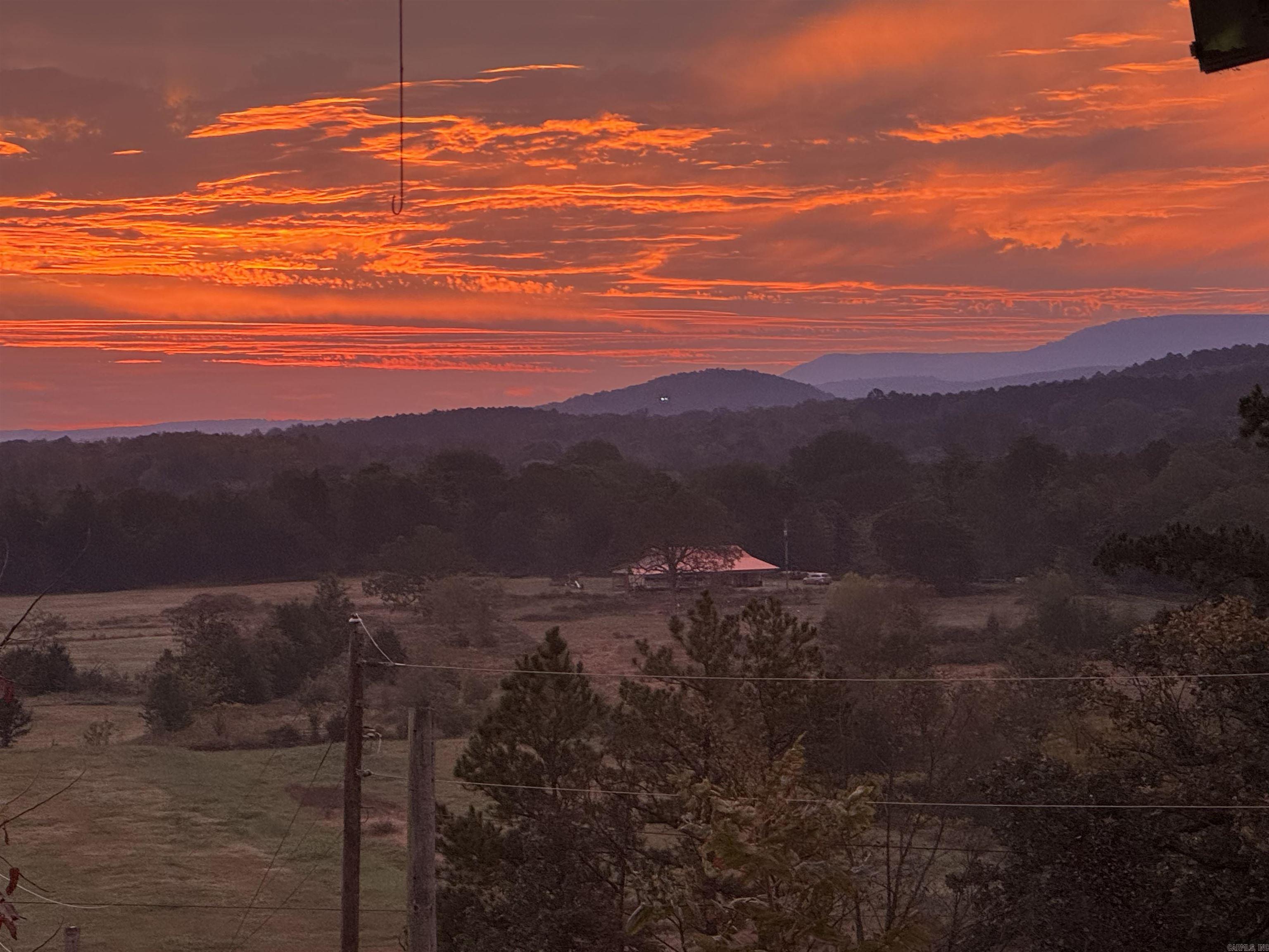 568 Peckerwood Lane  New Blaine, AR