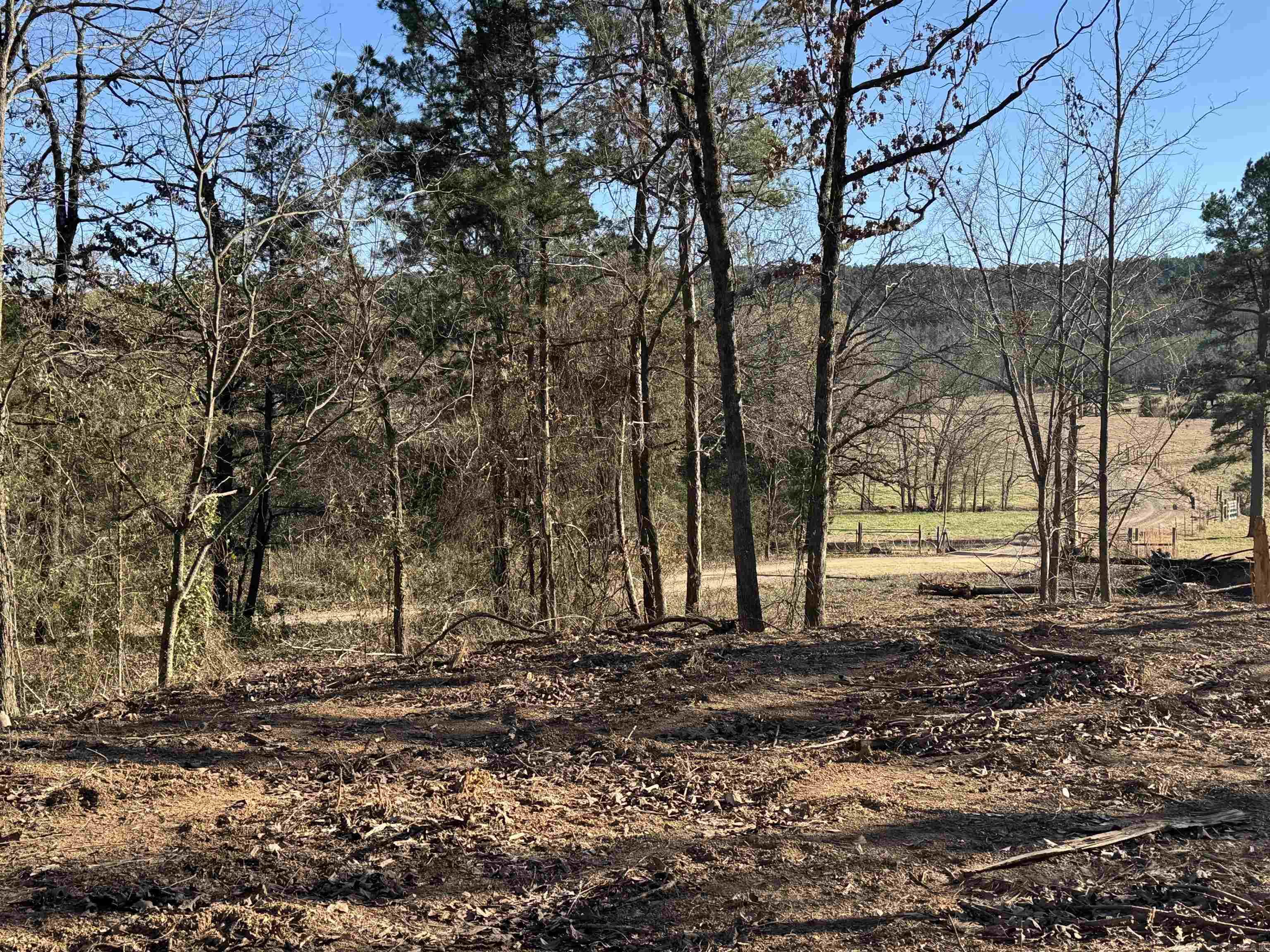 568 Peckerwood Lane  New Blaine, AR