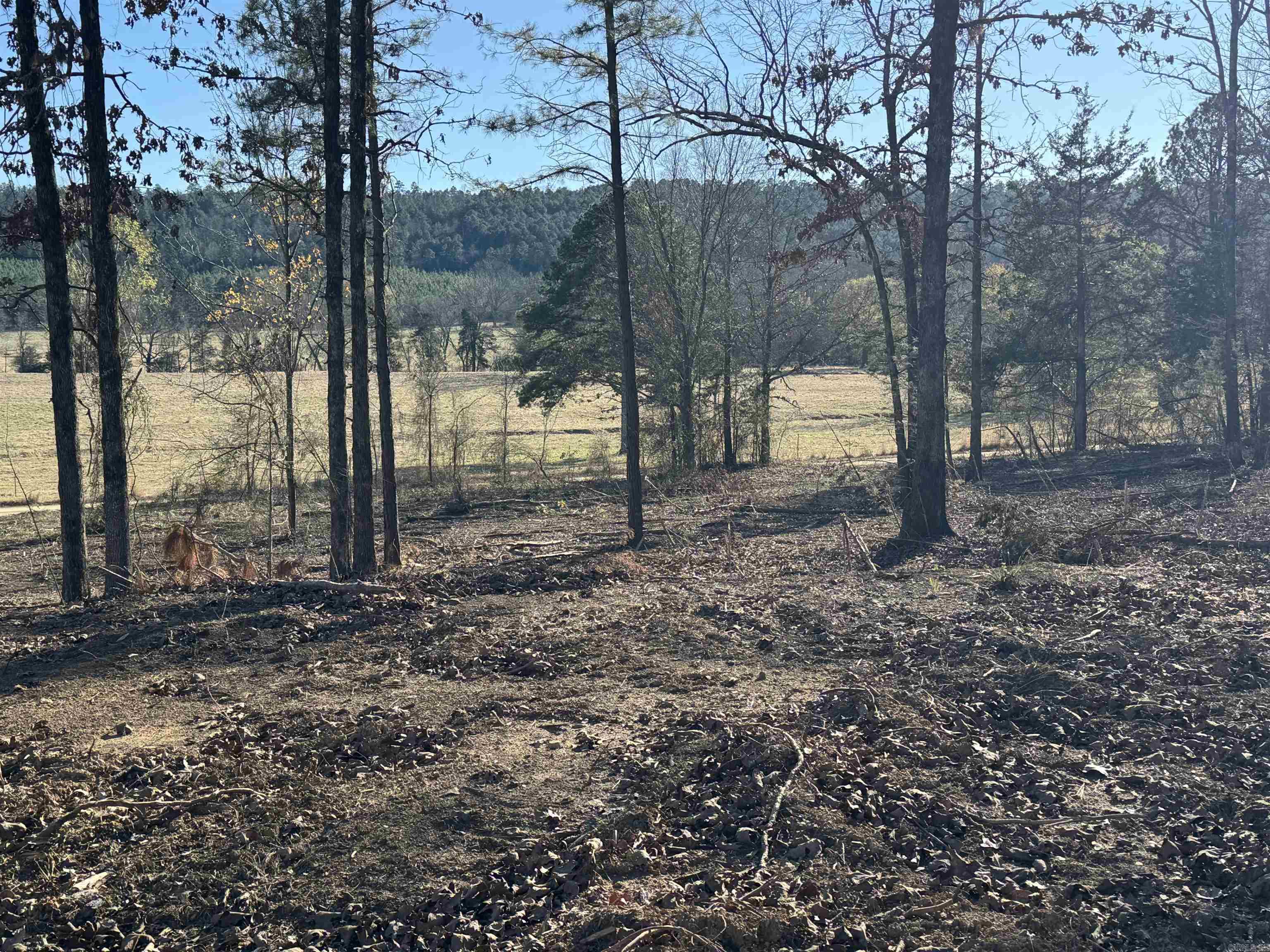 568 Peckerwood Lane  New Blaine, AR