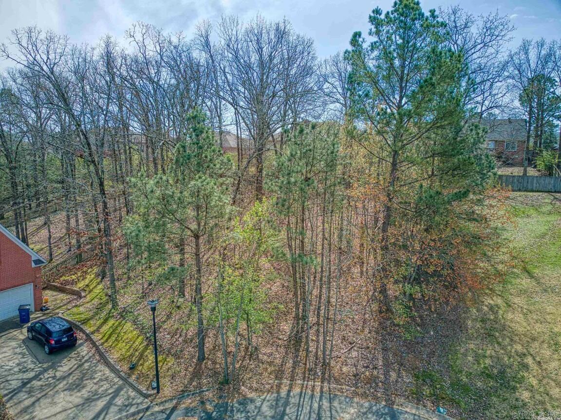 105 Chinon  Maumelle, AR