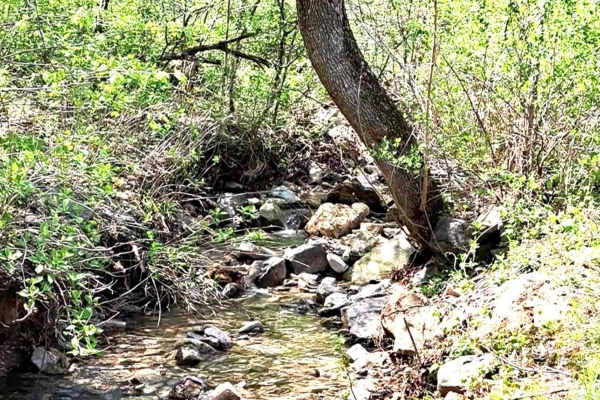 442 Riverview Trail Norfork, AR 72658