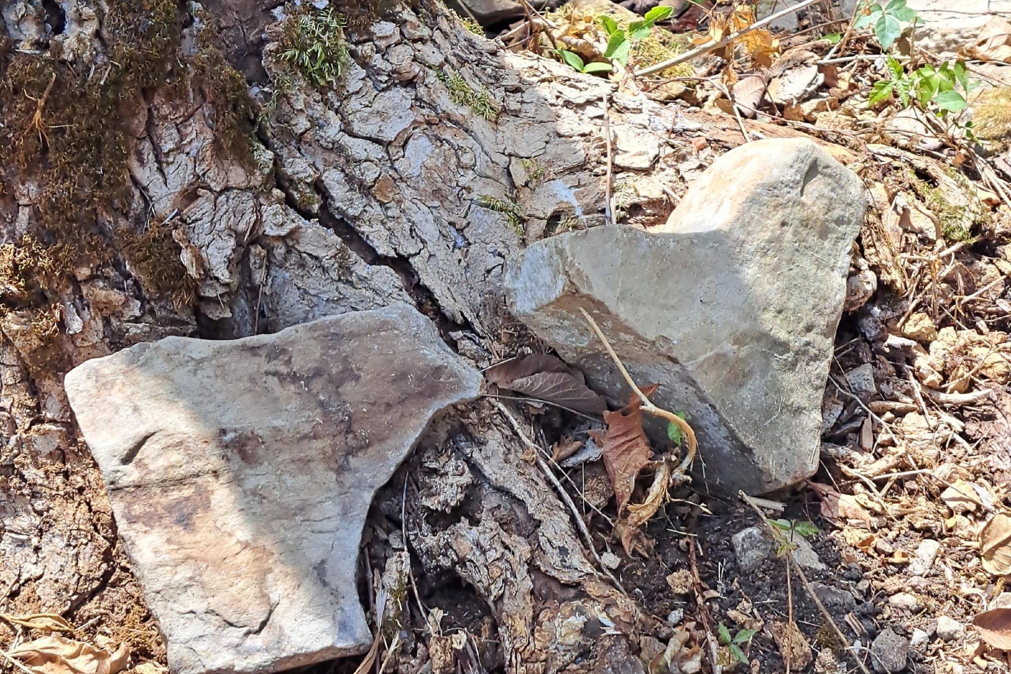 442 Riverview Trail Norfork, AR 72658