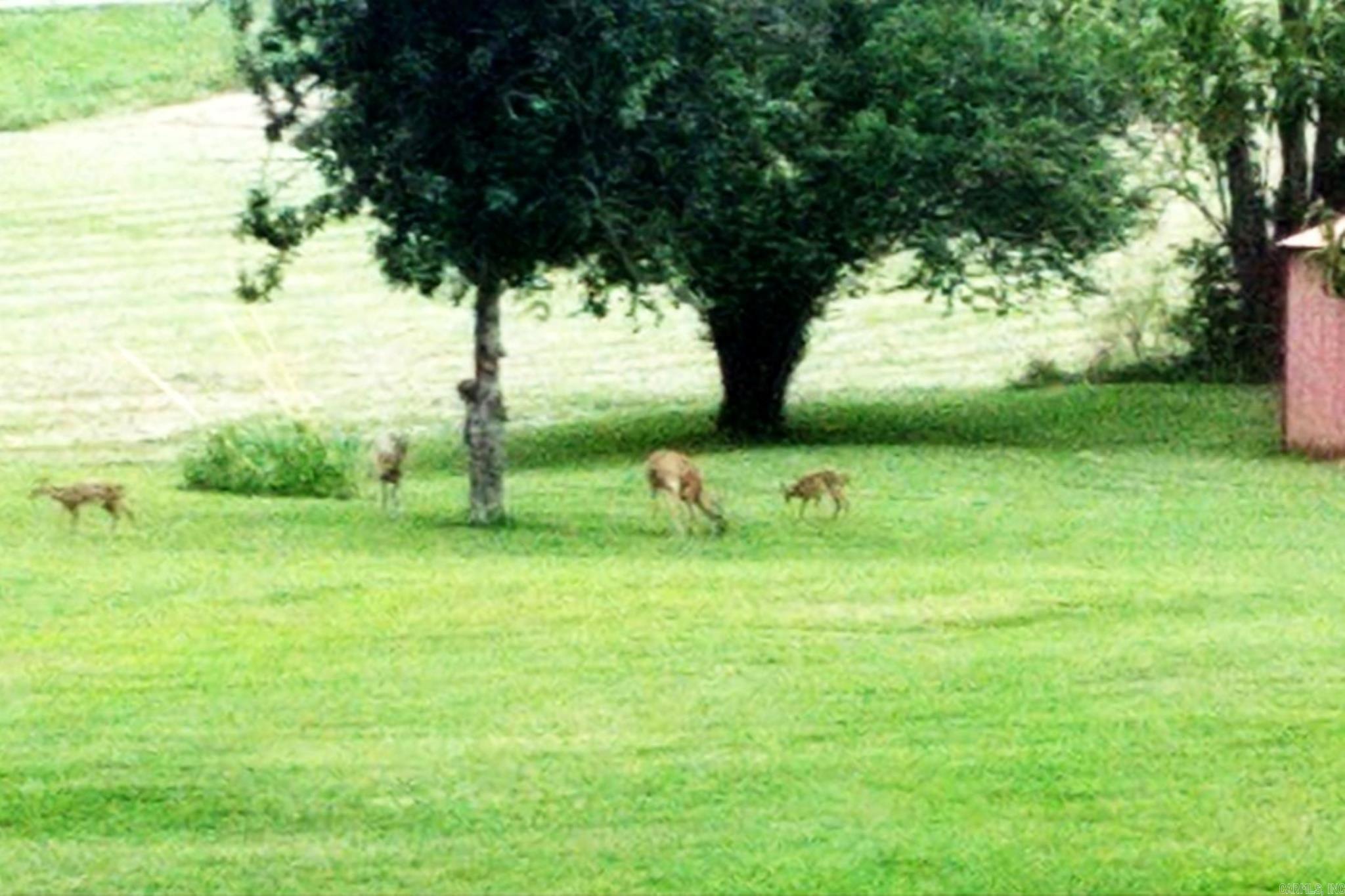 442 Riverview Trail Norfork, AR 72658