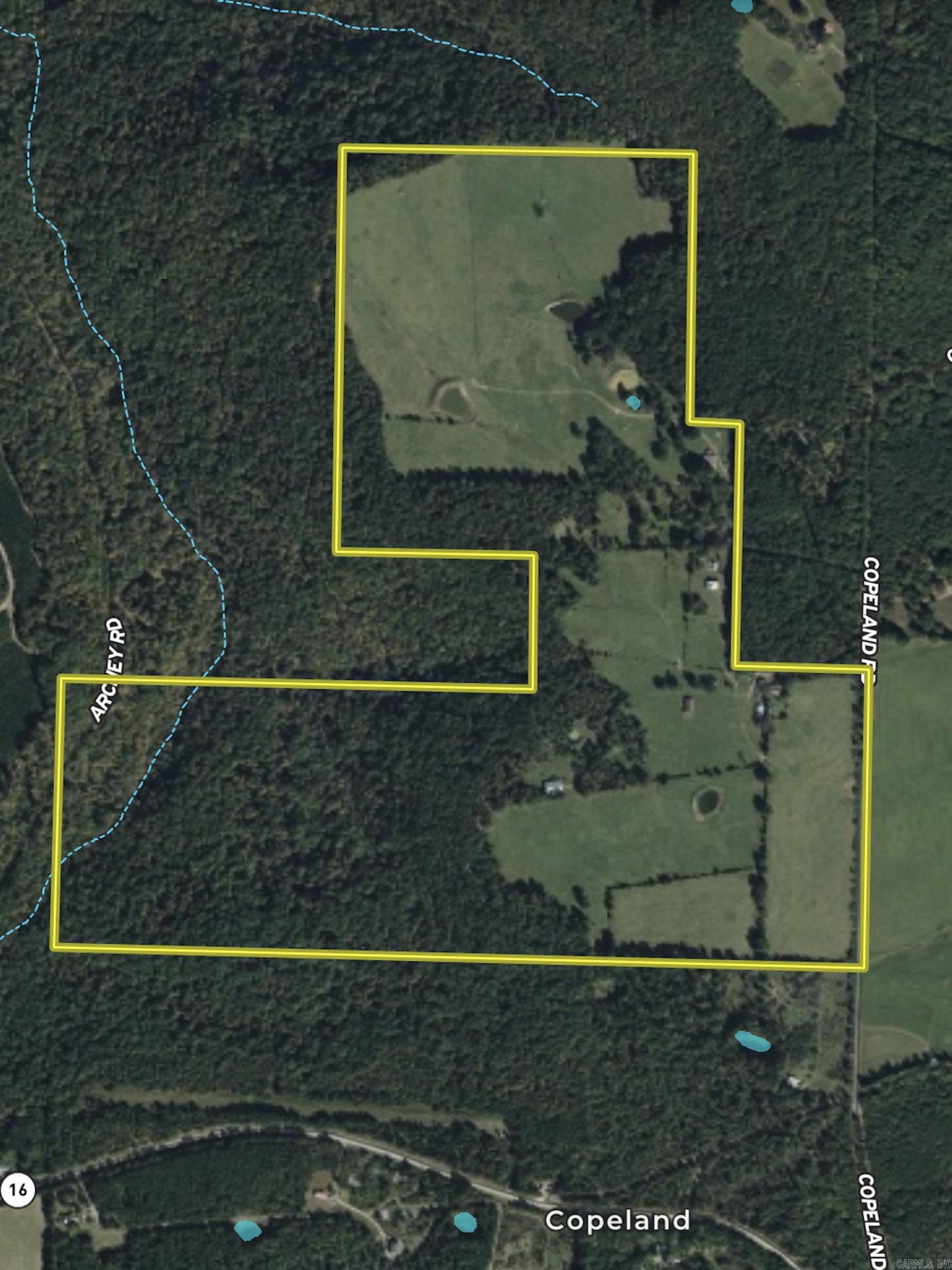 313 Cone Lane  Clinton, AR