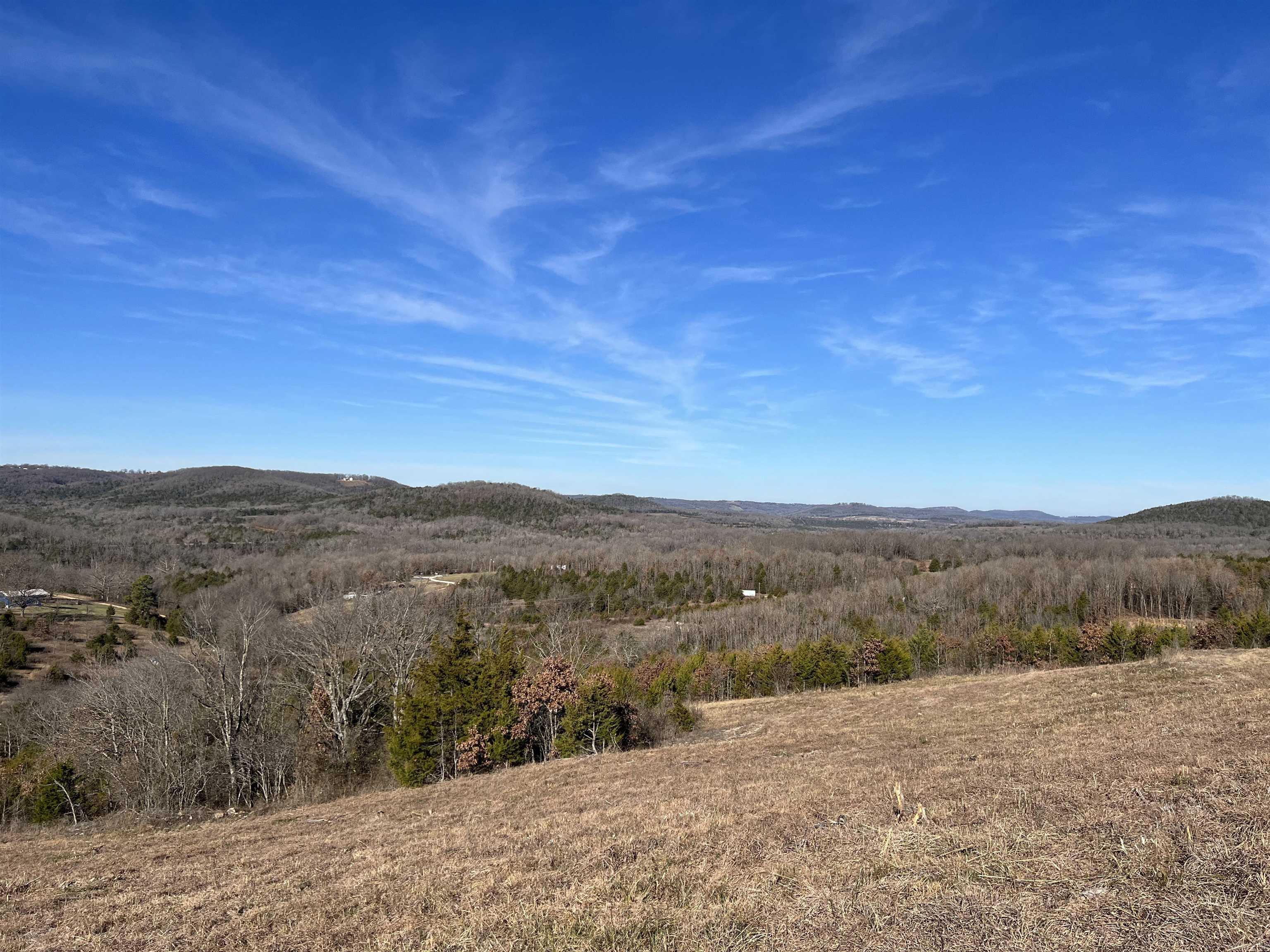  Whitetail  Harrison, AR