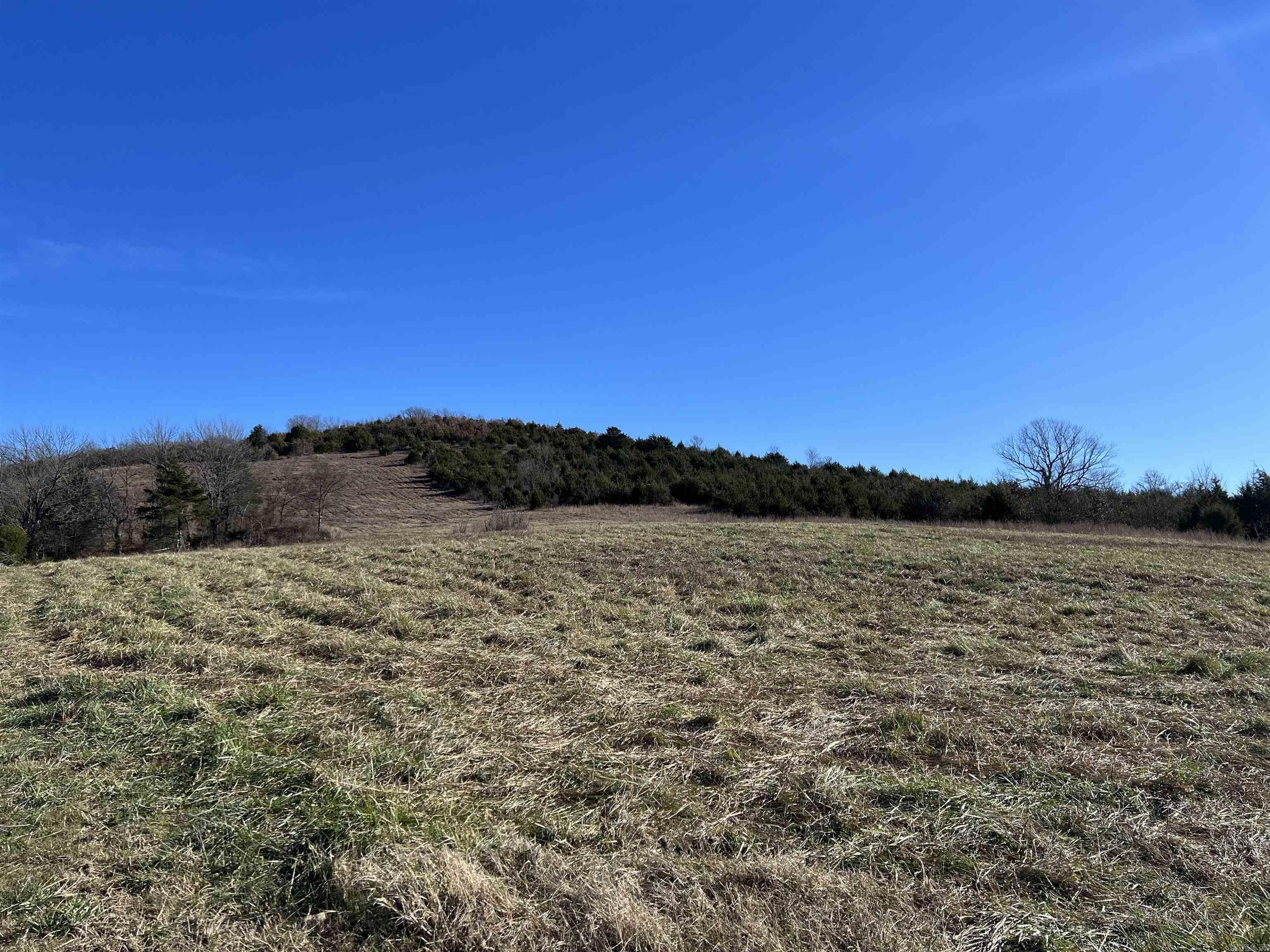  Whitetail  Harrison, AR