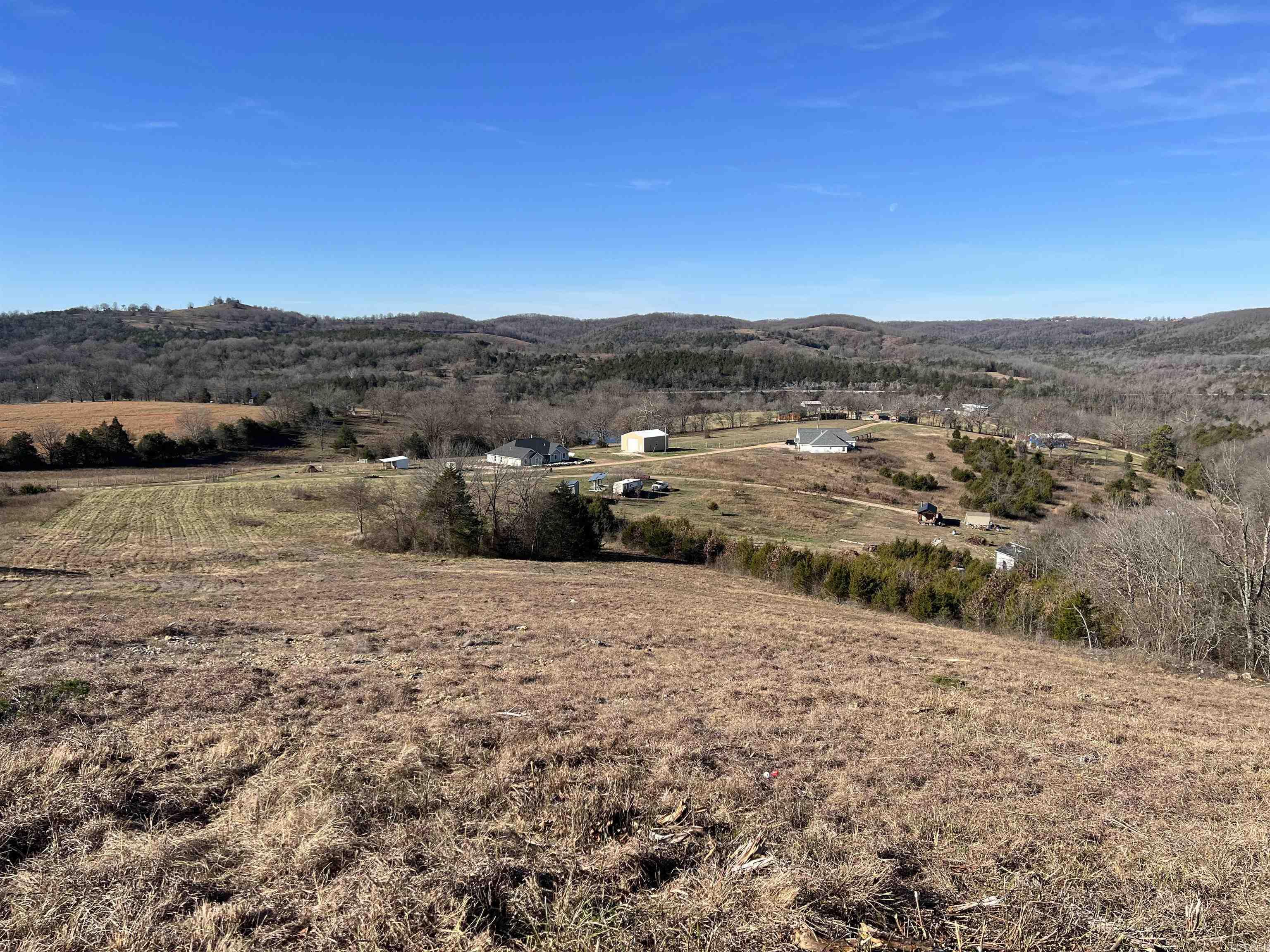  Whitetail  Harrison, AR