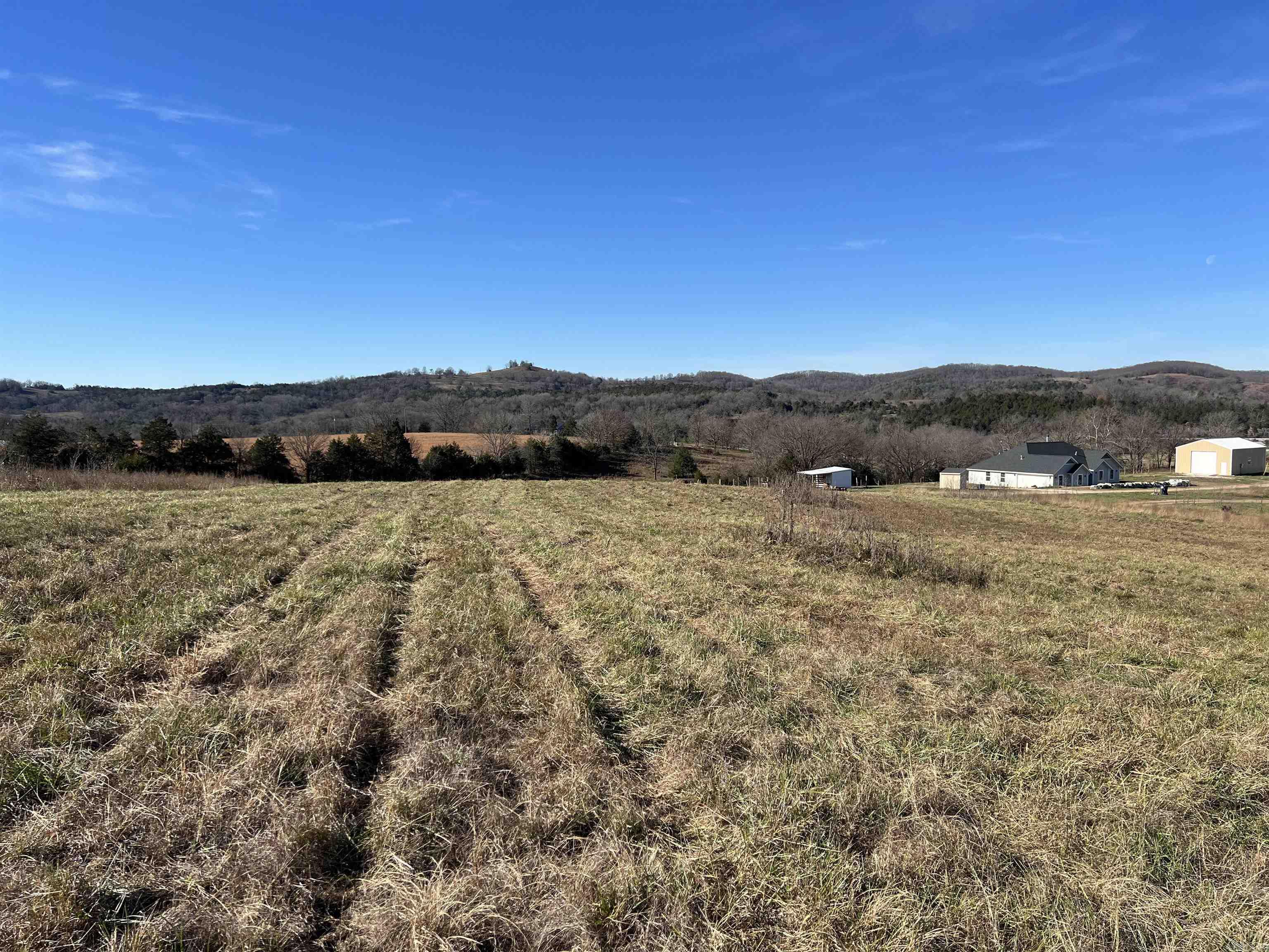  Whitetail  Harrison, AR